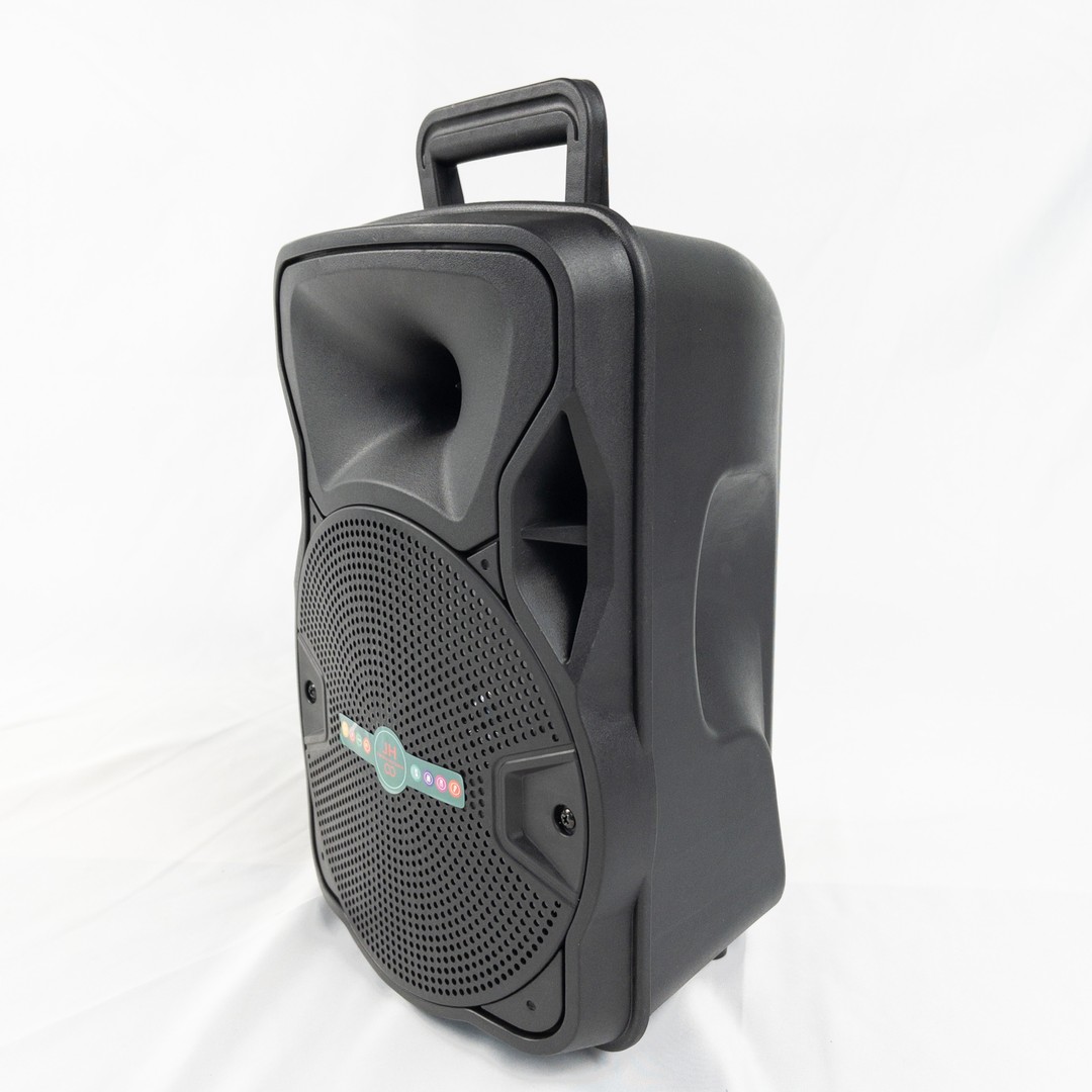 camaras y audio - Bocina de 8 pulgada JH-8503, incluye micrófono 2