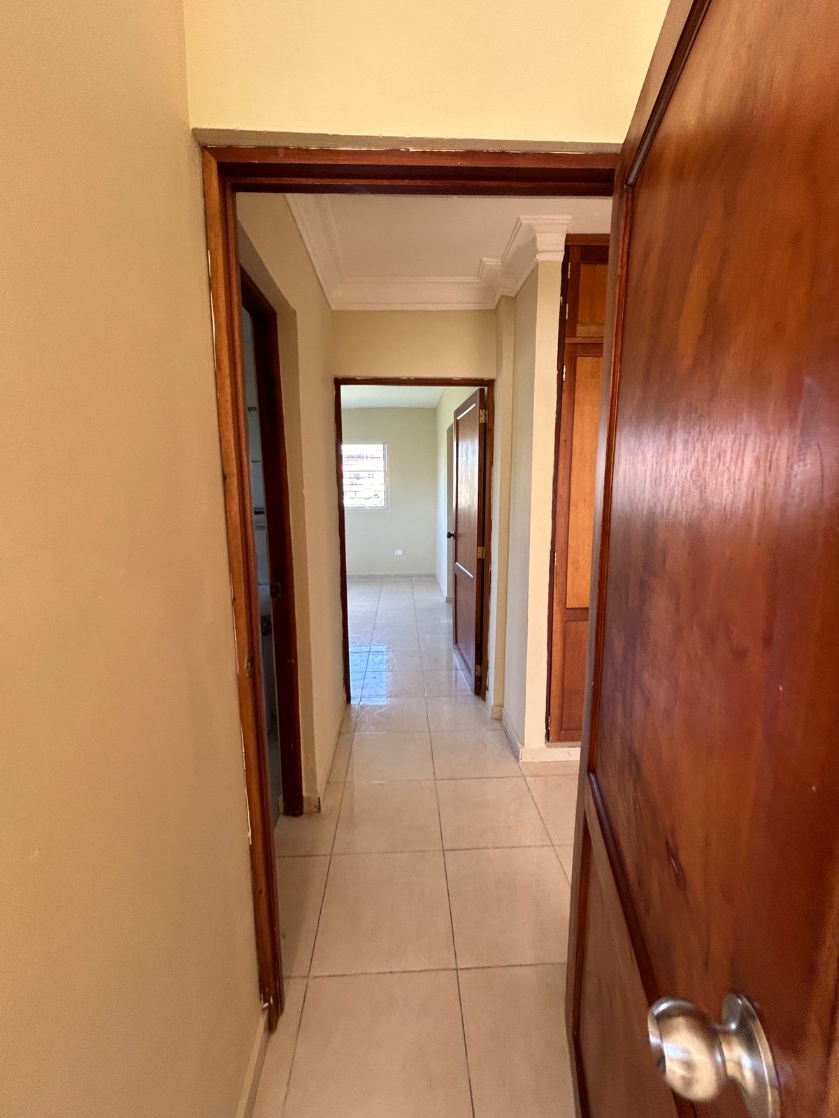 apartamentos - Se Renta Apartamento con Excelente Vista 7