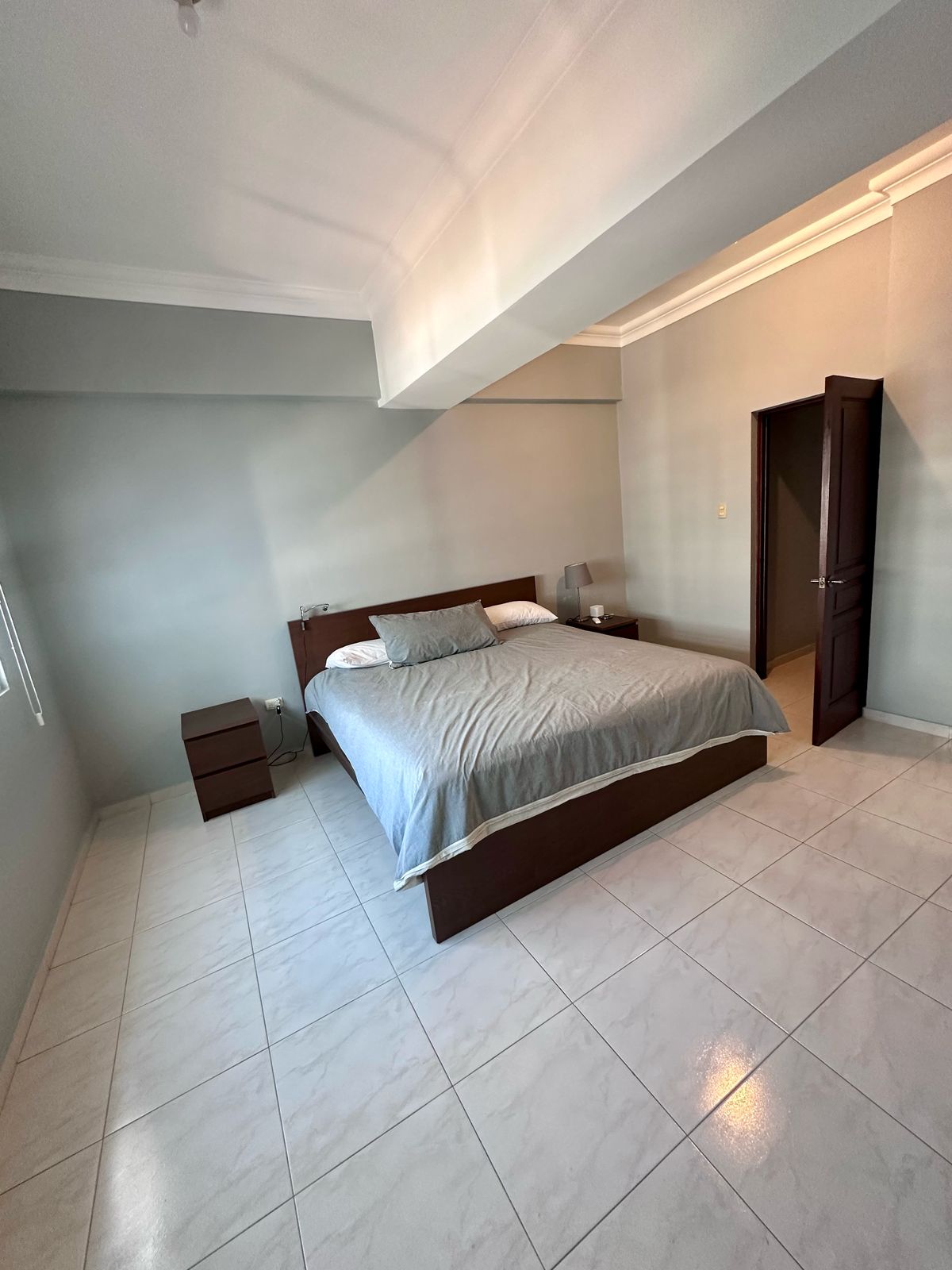 apartamentos - Alquilo Apartamento Amueblado  Piantini 4