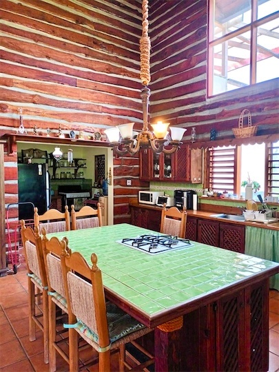 casas vacacionales y villas - Villa en Venta en JARABACOA estilo Rústico
US$990,000 6