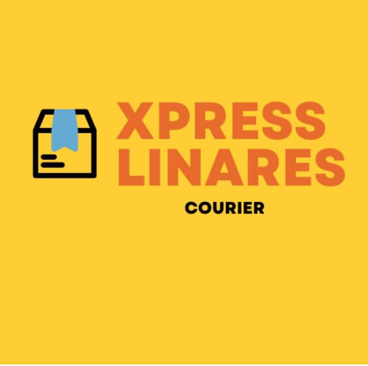 servicios profesionales - EMPRESA XPRESS LINARES . ENVIOS Y MAS 0