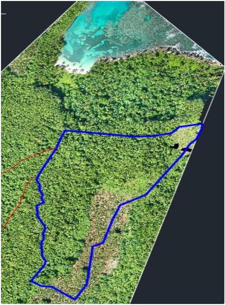 solares y terrenos - 72,185 Mts.s CON PLAYA,  en Playa MADAMA, Las Galeras, Samana de OPORTUNIDAD 6