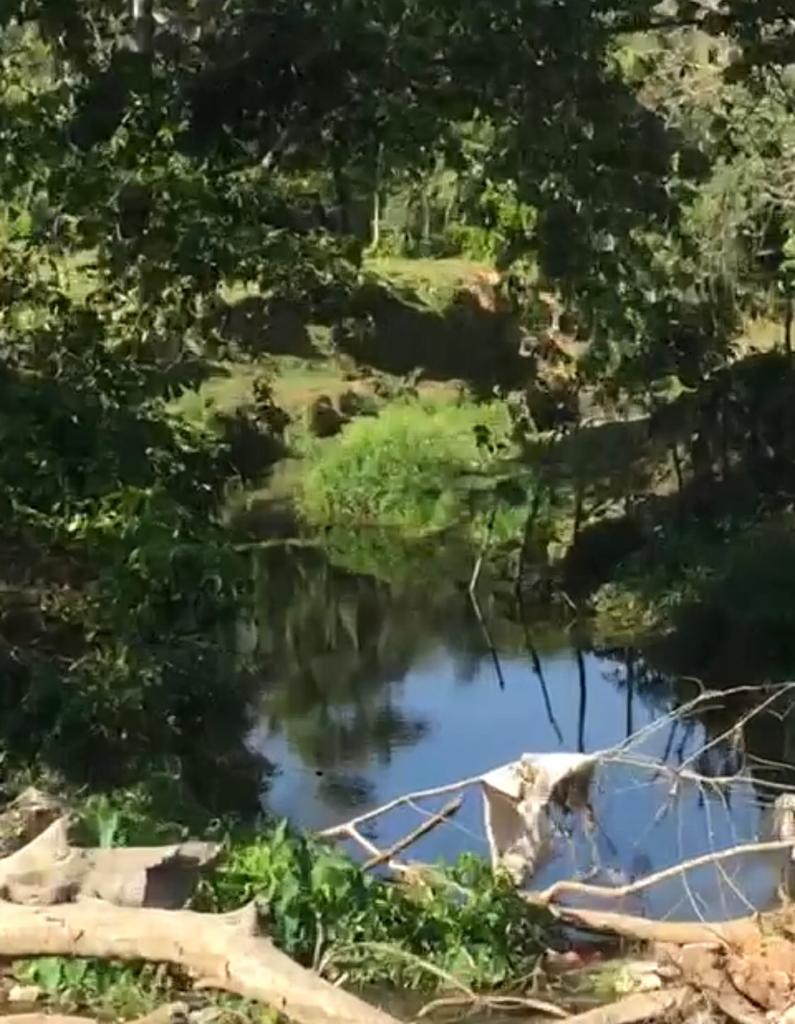 solares y terrenos - SUPER OFERTA DE FINCA EN YAMASA, 253 TAREAS, REBAJ 4