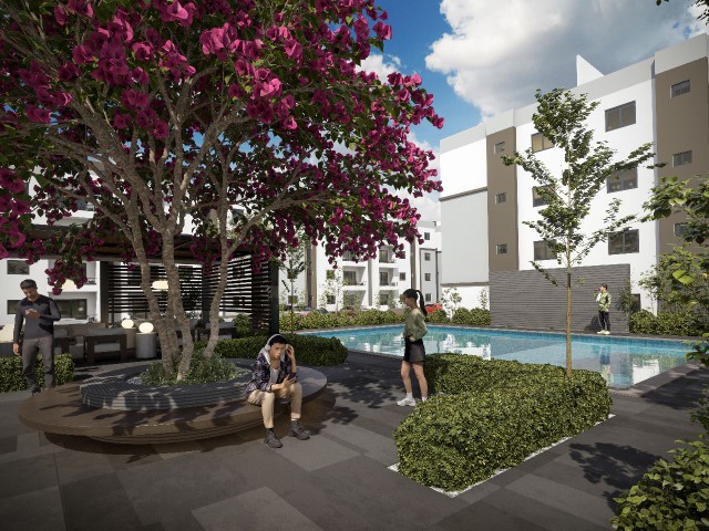 apartamentos - EN PLANO NUEVO PROYECTO ECONÓMICO PRÓXIMO HOSPITAL NEY ARIAS LORA 3