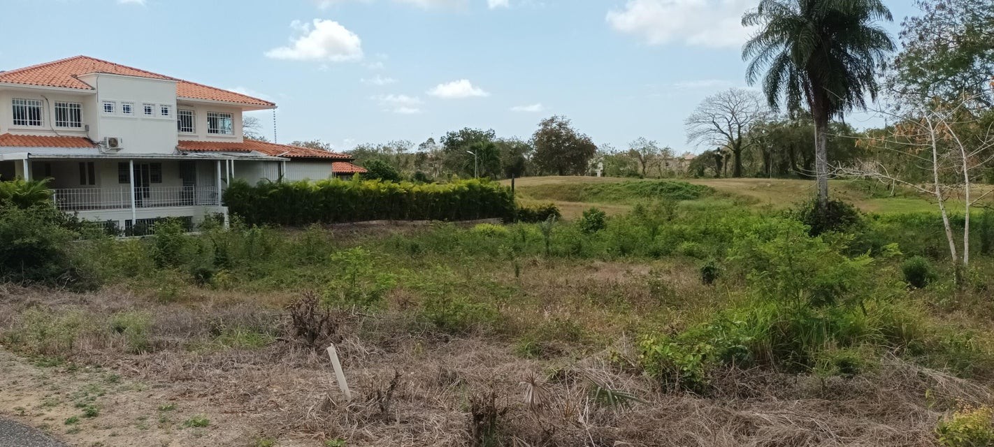solares y terrenos - erreno en venta  Guavaberry #24-15 cercano al campo de golf, excelente inversión 1