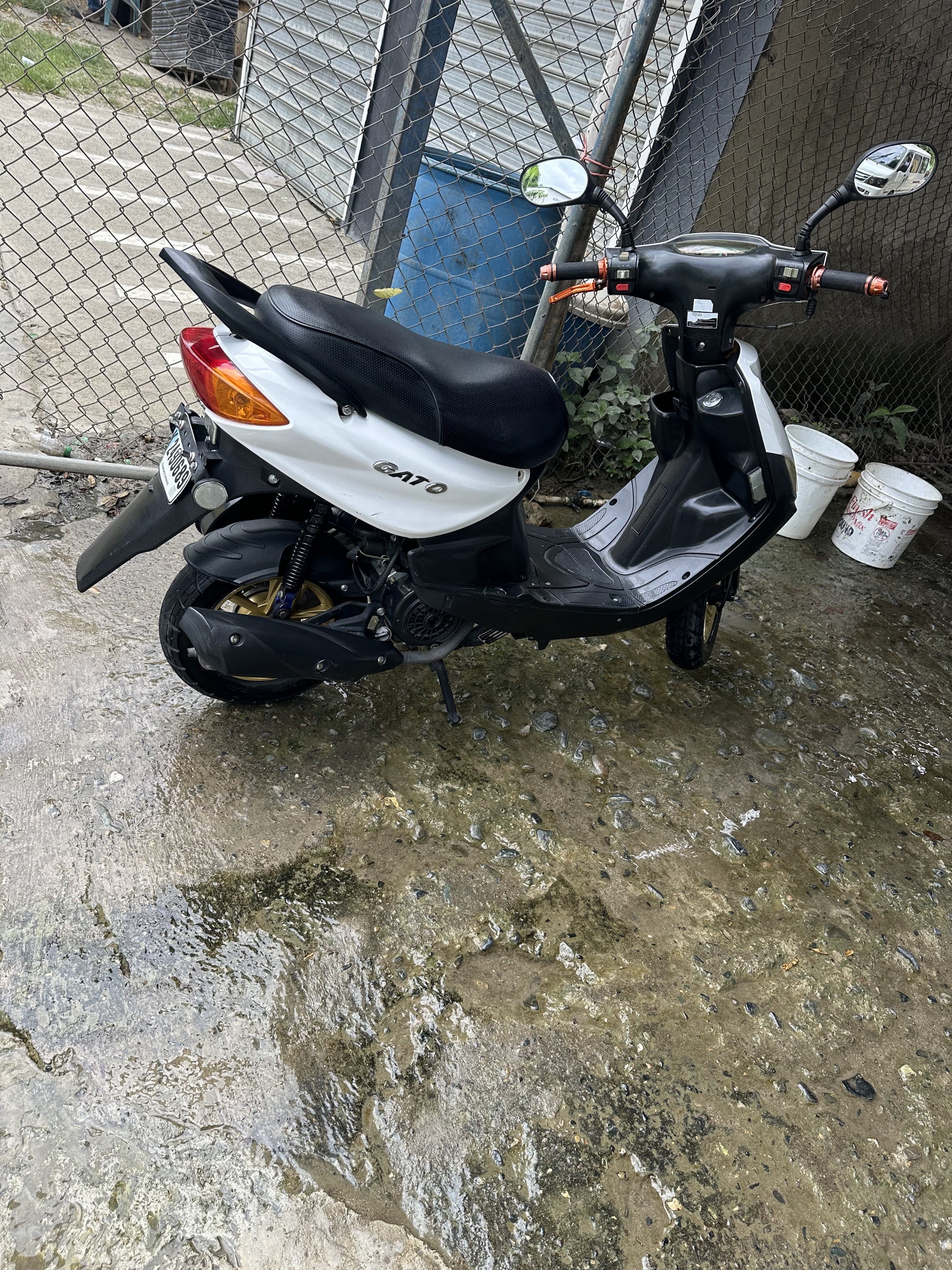 motores y pasolas - PASOLA GATO 2023 SPORT  3