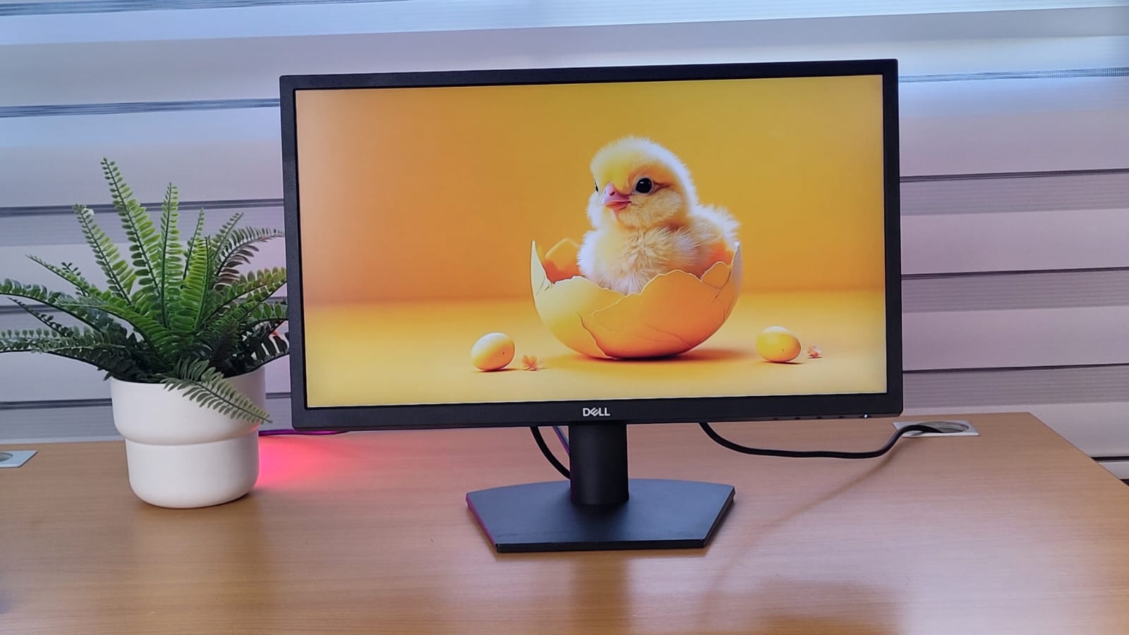 computadoras y laptops - MONITOR HP DELL Y ACER 22,23,24,27,32 Y 34PLG CON  3
