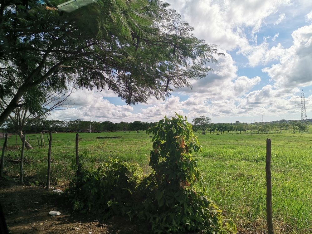 oficinas y locales comerciales - Nave en alquiler en Sierra Prieta, Yamasa de 4,000m2 2