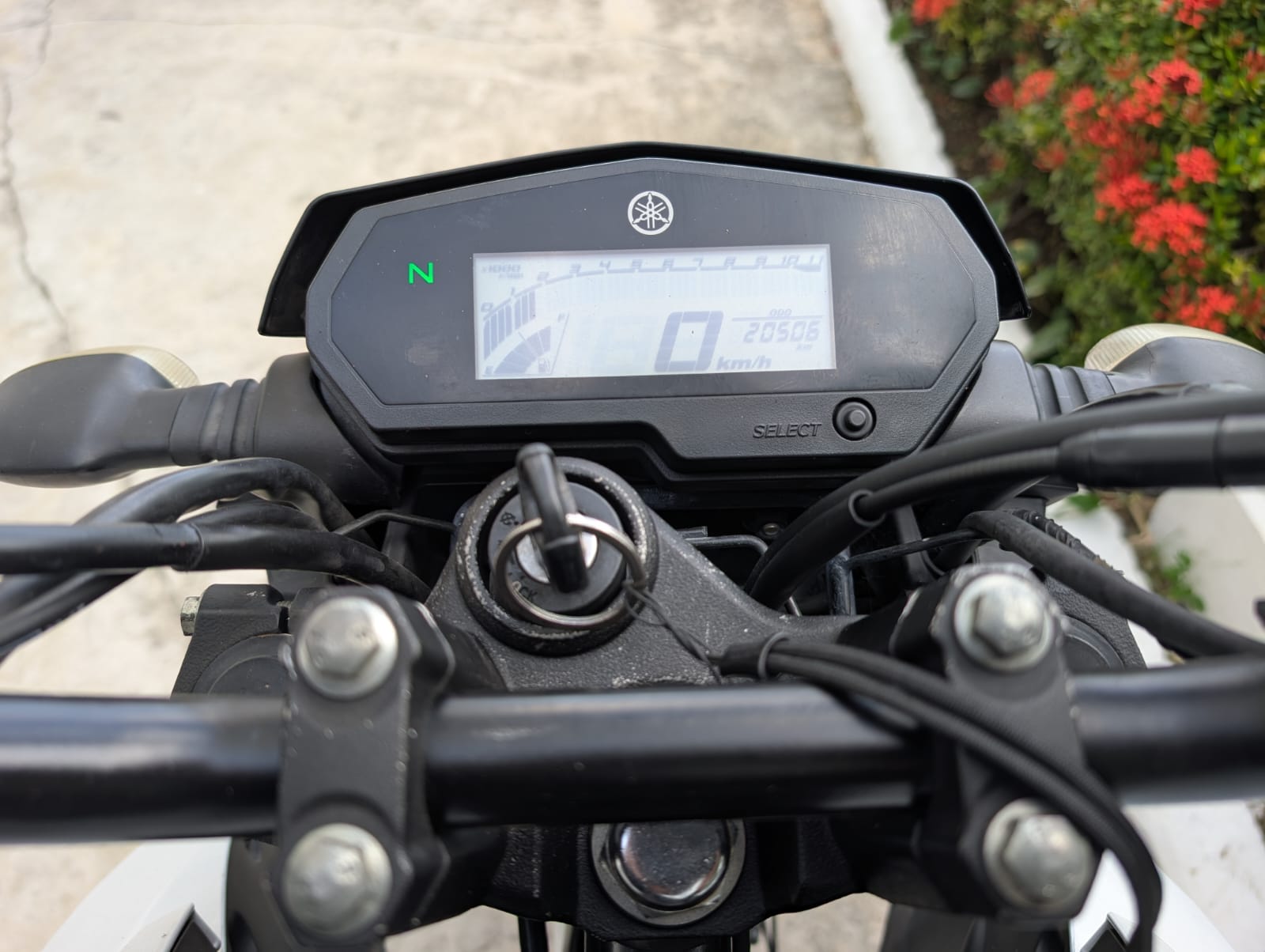 motores y pasolas - Yamaha FZ 250 2