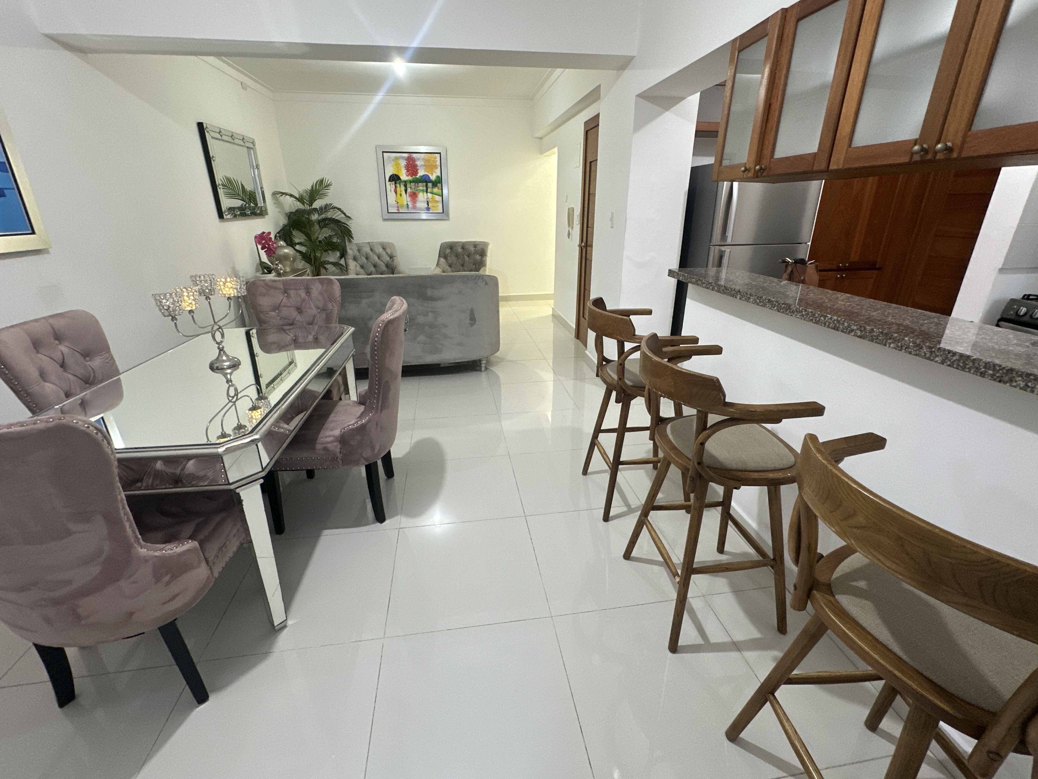 apartamentos - Apartamento Amueblado Evaristo Moralez 4