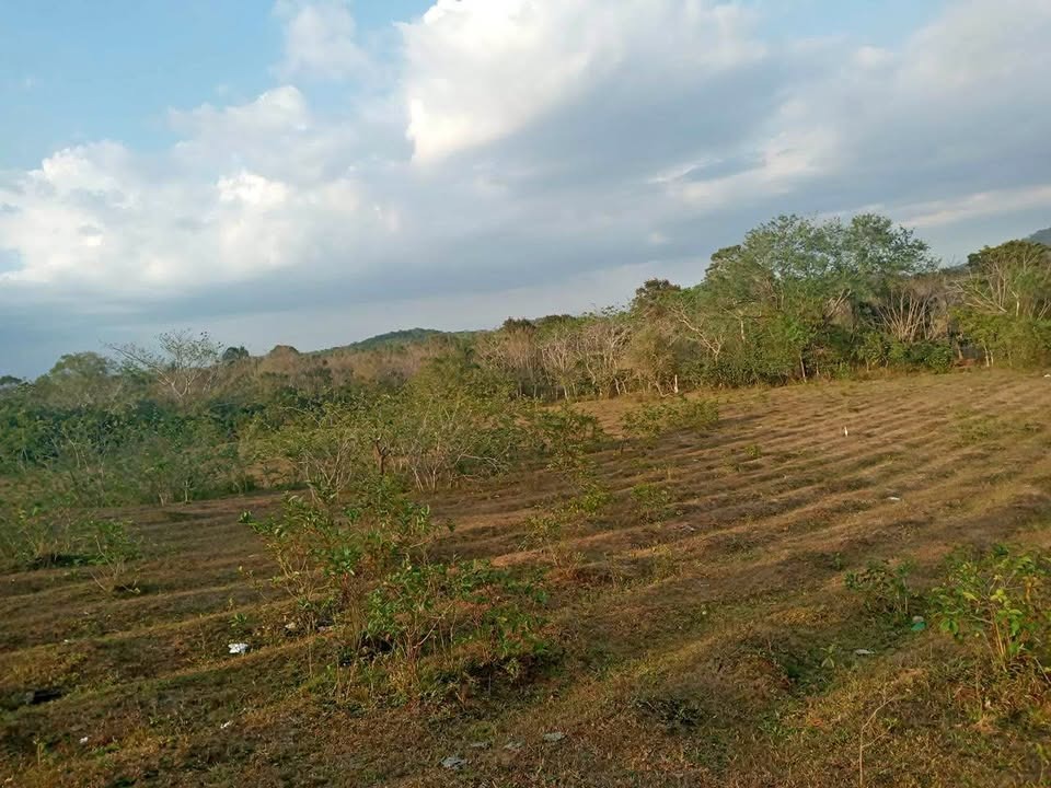 otros inmuebles - Vendo Finca en Guanuma  2