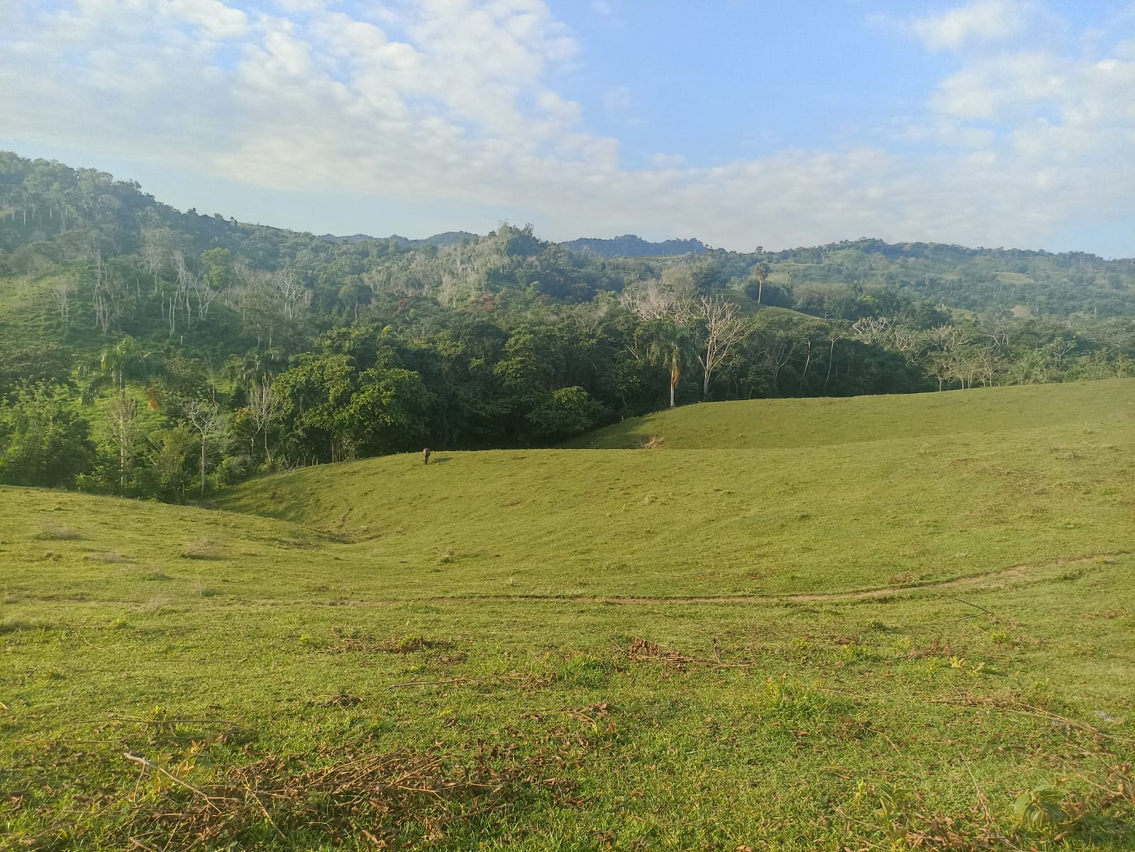 solares y terrenos - 🐄 Finca Ganadera en Venta – A Solo 45 Minutos de  2