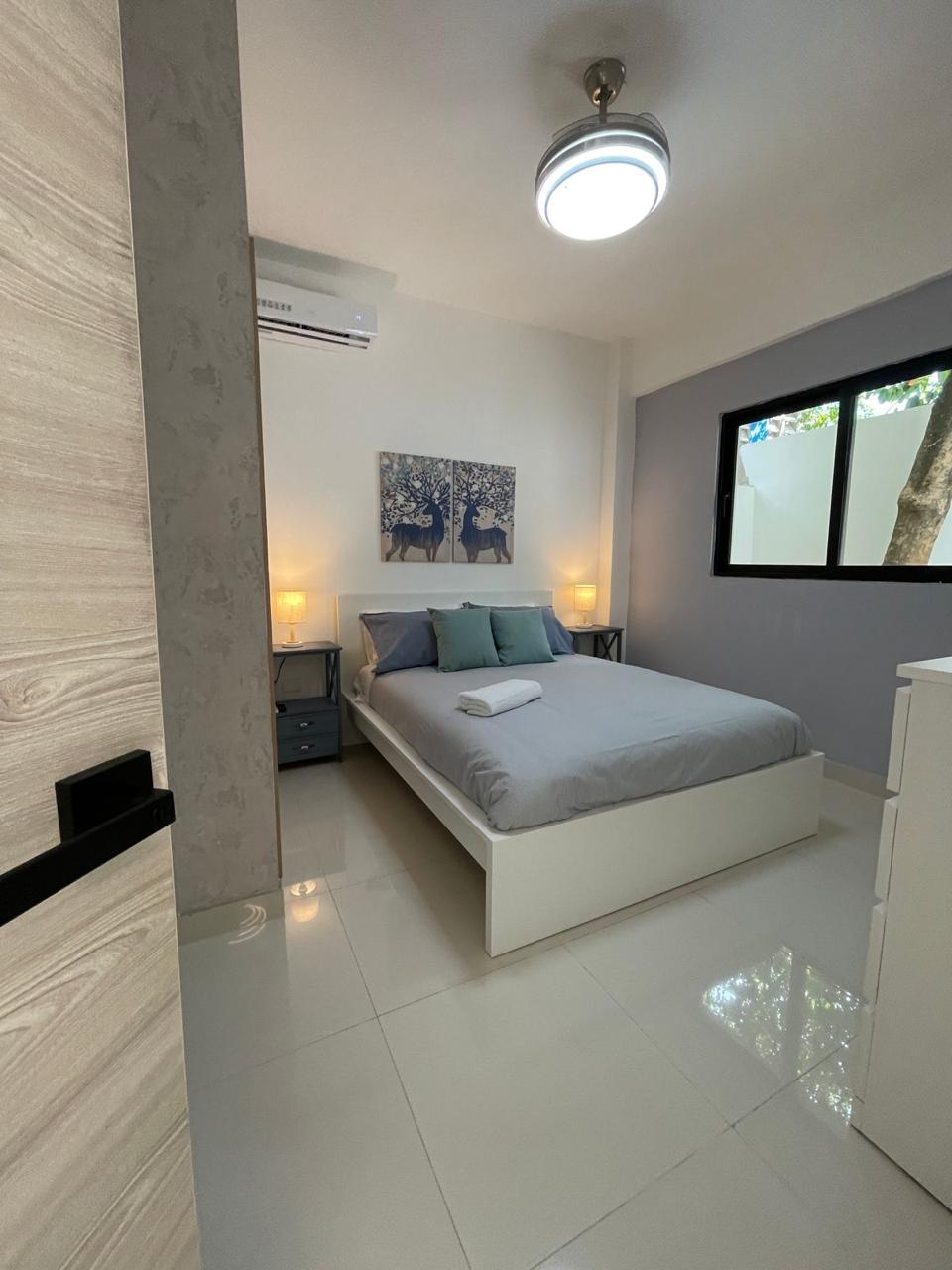 apartamentos - Apartamento amueblado en alquiler en Gazcue 0