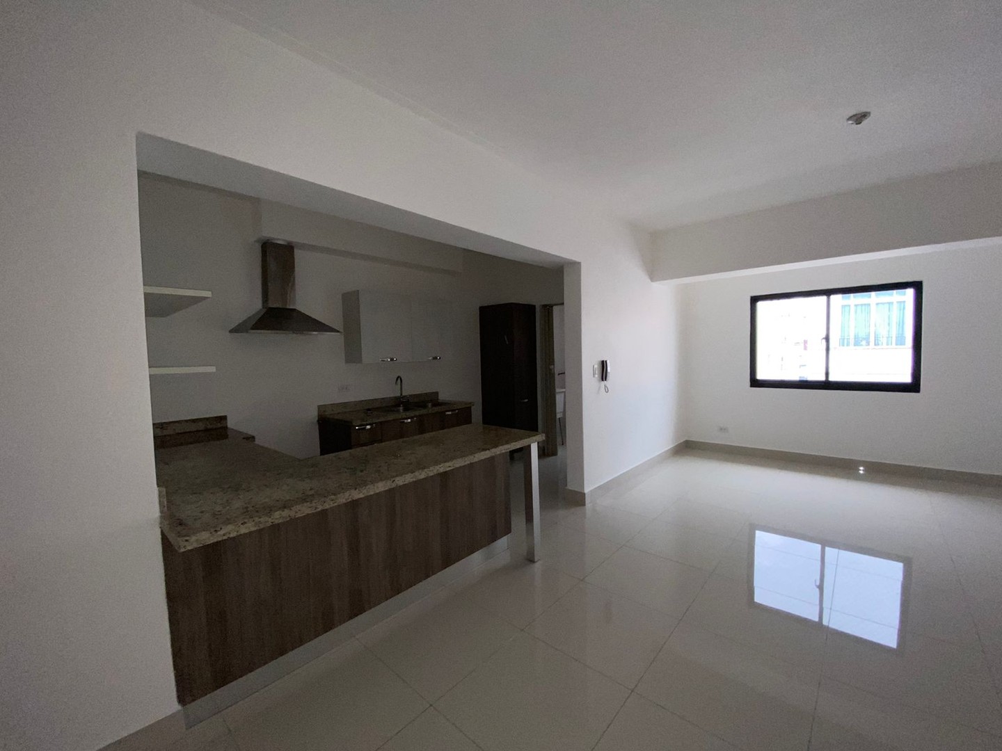 apartamentos - Se alquila apartamento en Piantini 9