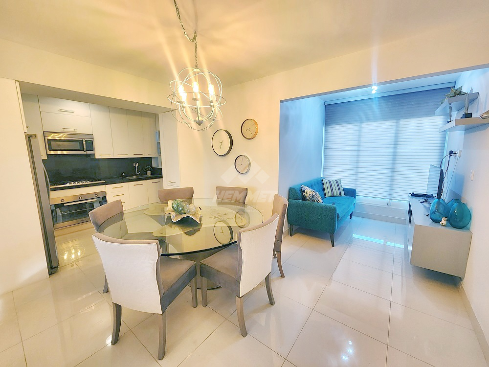 apartamentos - AMUEBLADO ASCENSOR PROXIMO LEON JIMENEZ STGO. 9