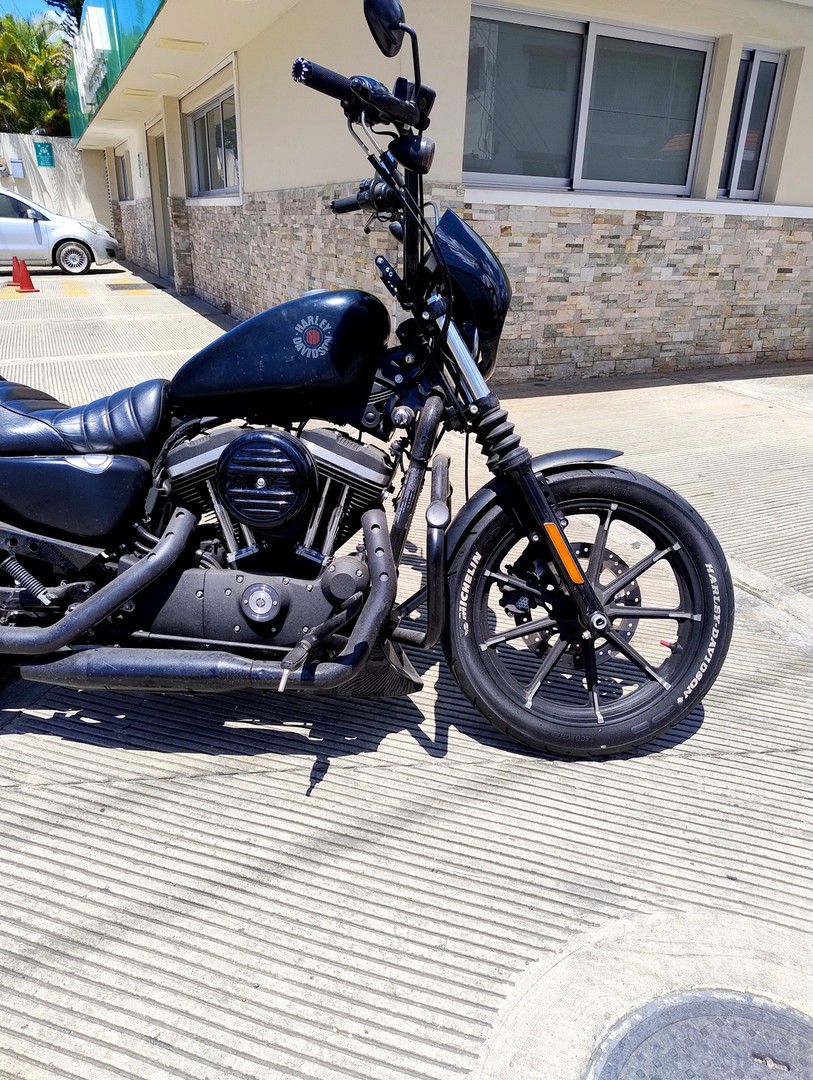 motores y pasolas - Harley Davidson Sportster Iron 2019 8