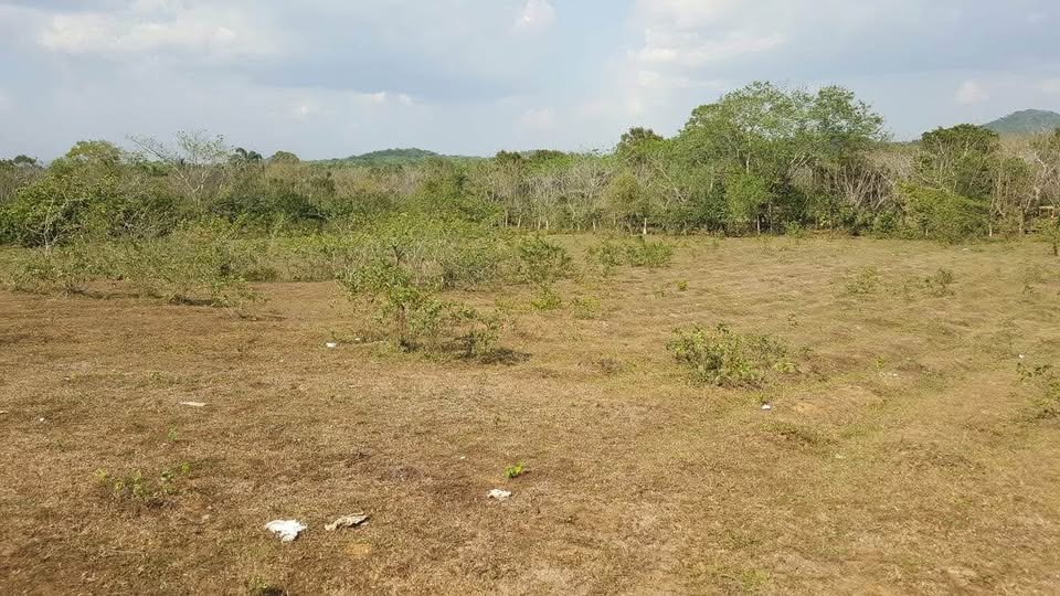 otros inmuebles - Vendo Finca en Guanuma  3