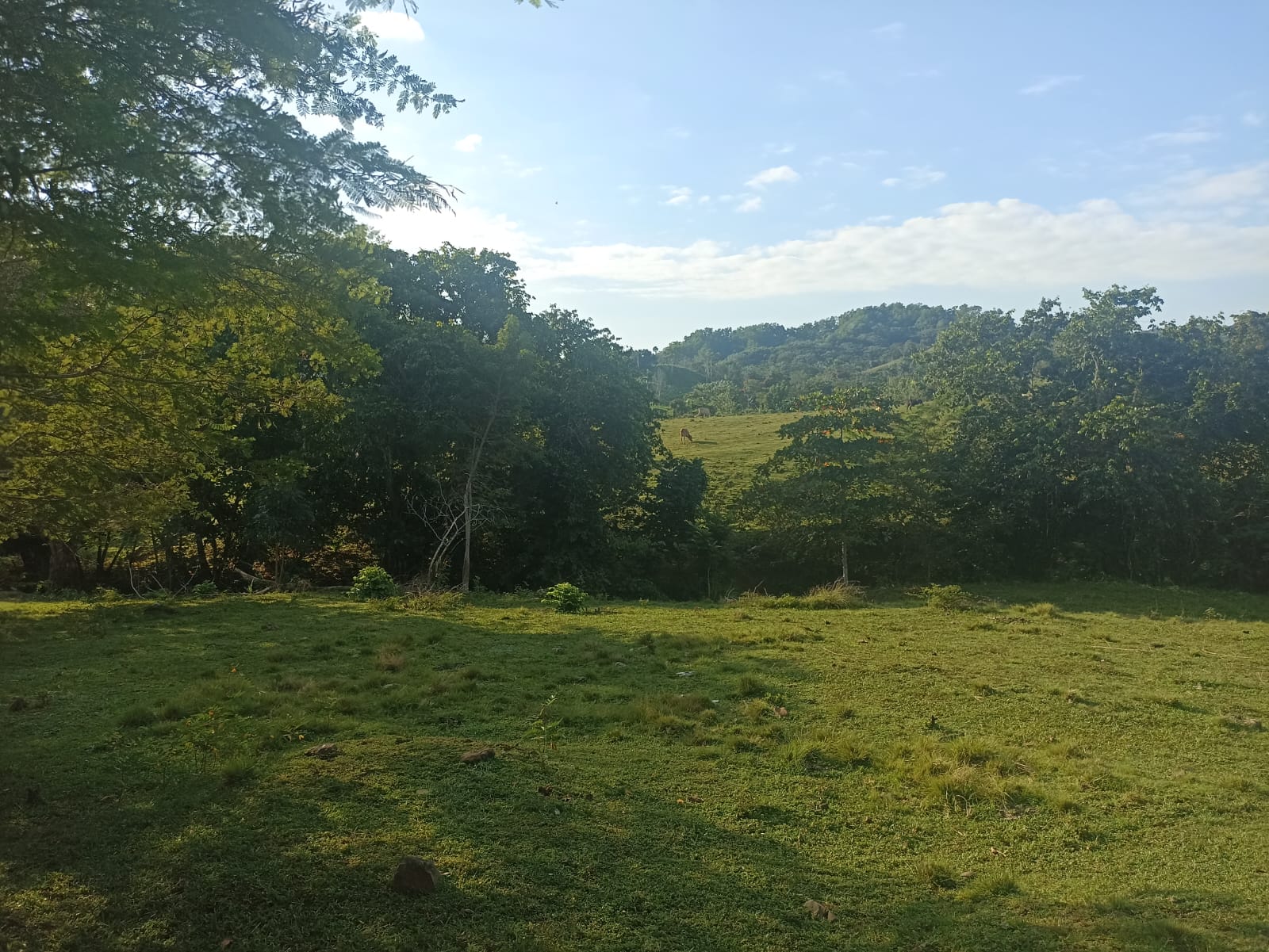 solares y terrenos - 🐄 Finca Ganadera en Venta – A Solo 45 Minutos de  3