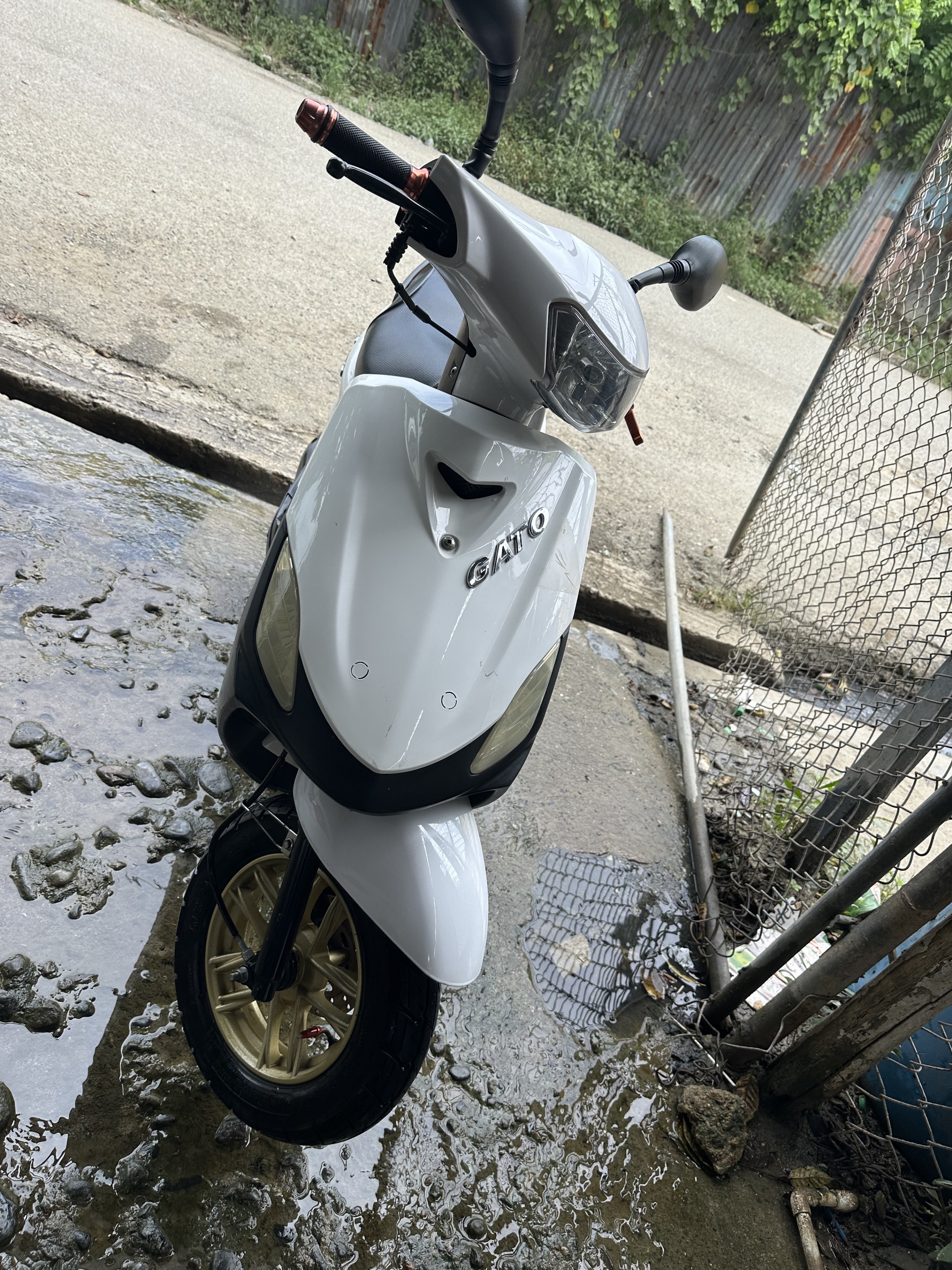 motores y pasolas - PASOLA GATO 2023 SPORT  2