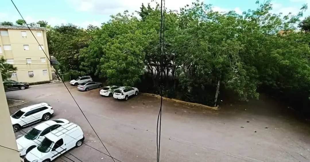 apartamentos - oportunidad vendo 3er piso villa olímpica totalmente remodelado  4