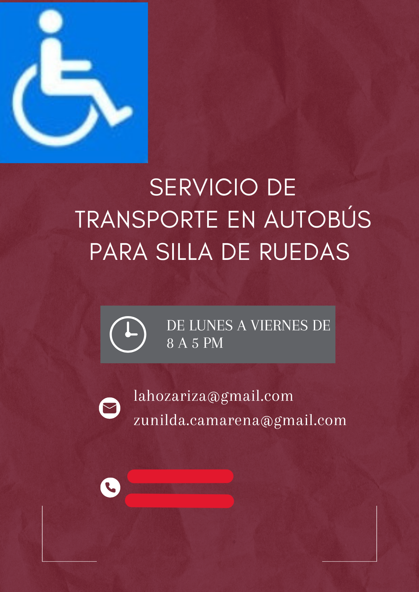 servicios profesionales - TRANSPORTE PARA SILLA DE RUEDAS. 