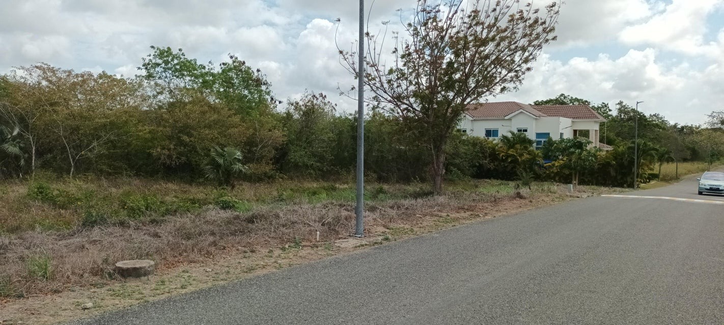 solares y terrenos - erreno en venta  Guavaberry #24-15 cercano al campo de golf, excelente inversión 0
