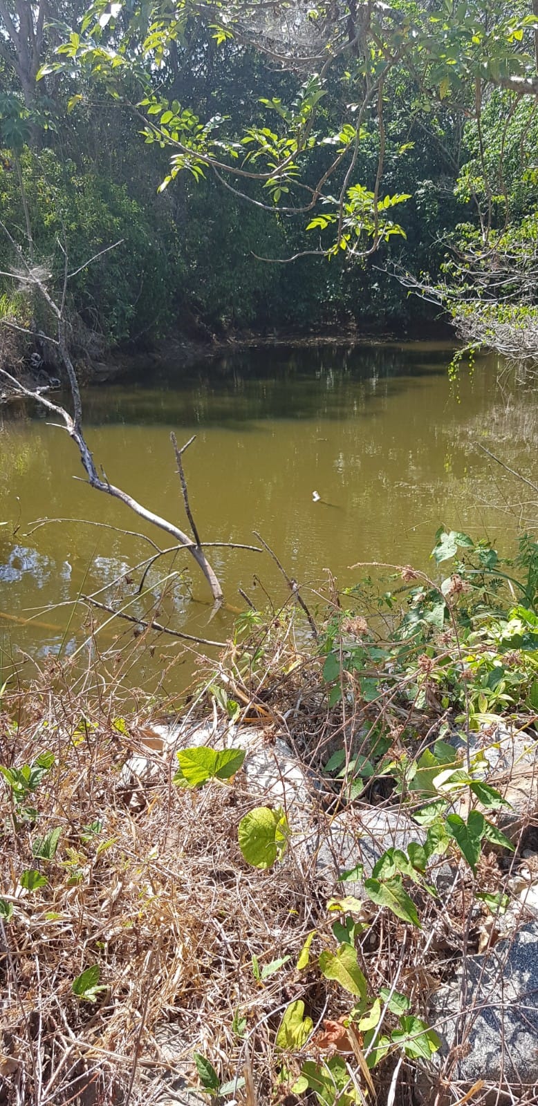 solares y terrenos - Finca con Oro en San Cristobal Documentos en orden 1