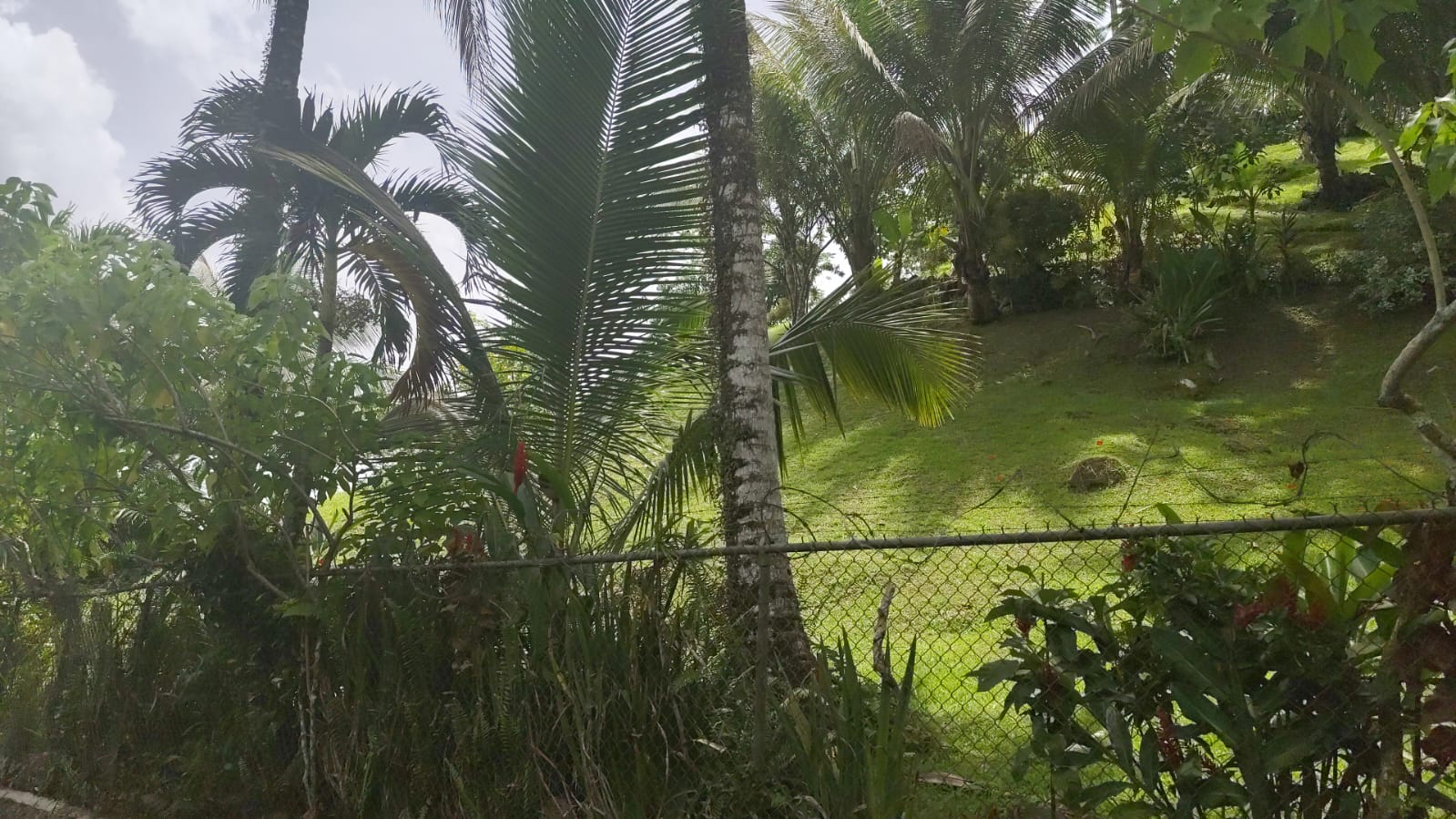 casas vacacionales y villas - Hermosa finca en venta!! 7