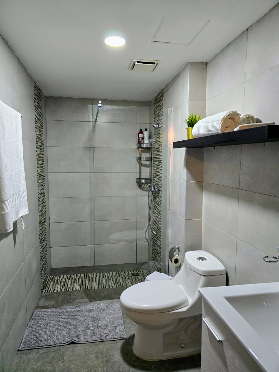 apartamentos - Apartamento Amueblado de 1 Habitacion en Alquiler  6