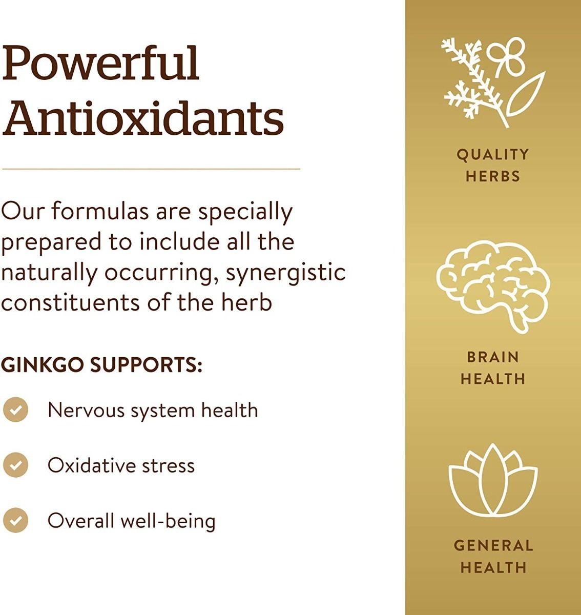 Salud y Equipamiento Médico - Super Ginkgo Biloba Solgar Cerebral Sistema Nervioso 120 Cap 3