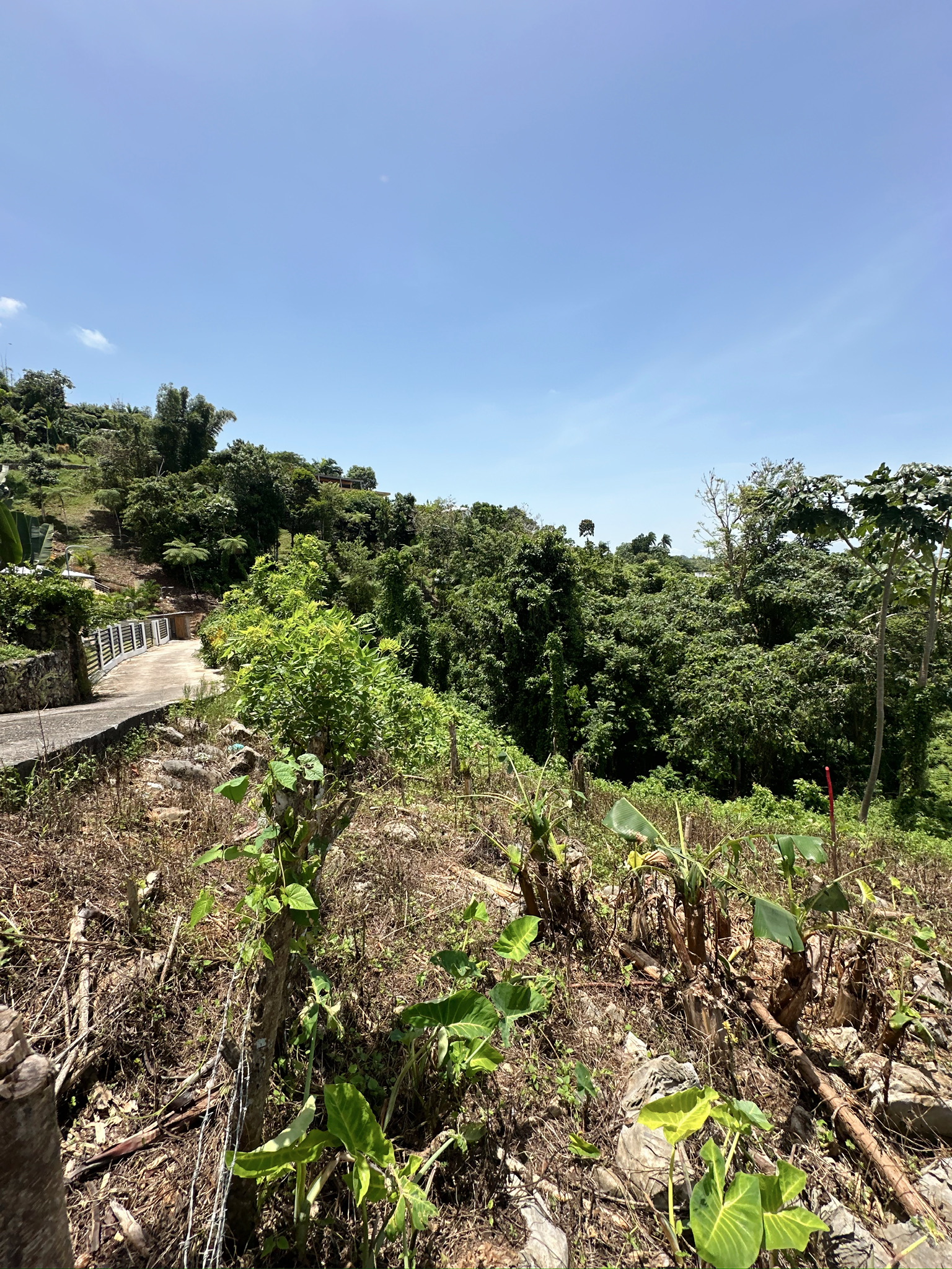solares y terrenos - Terreno en las montañas con vista al mar, Samana 2