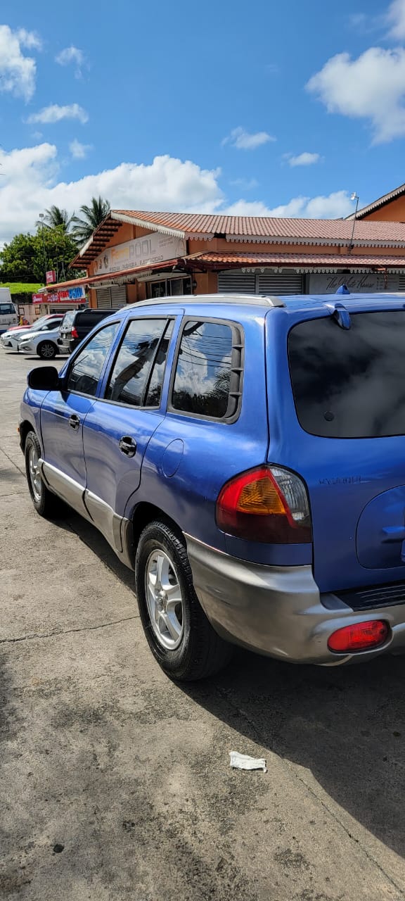jeepetas y camionetas - Hyundai Santa Fe 2004 Gasolina/Gas 5