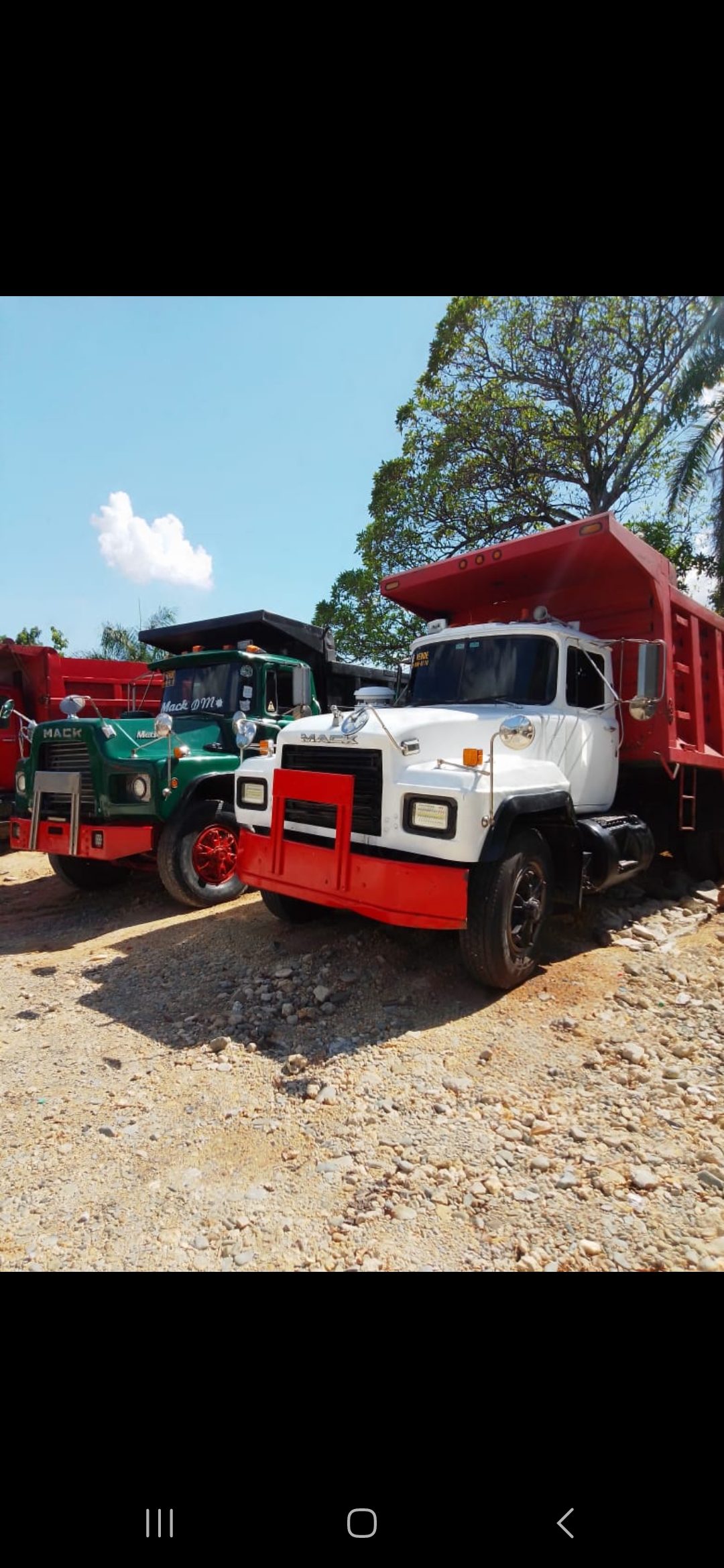camiones y vehiculos pesados - Camion Mack  4