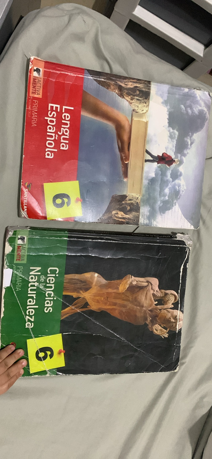 libros y revistas - Libros Santillana 4to y 6to primaria 0