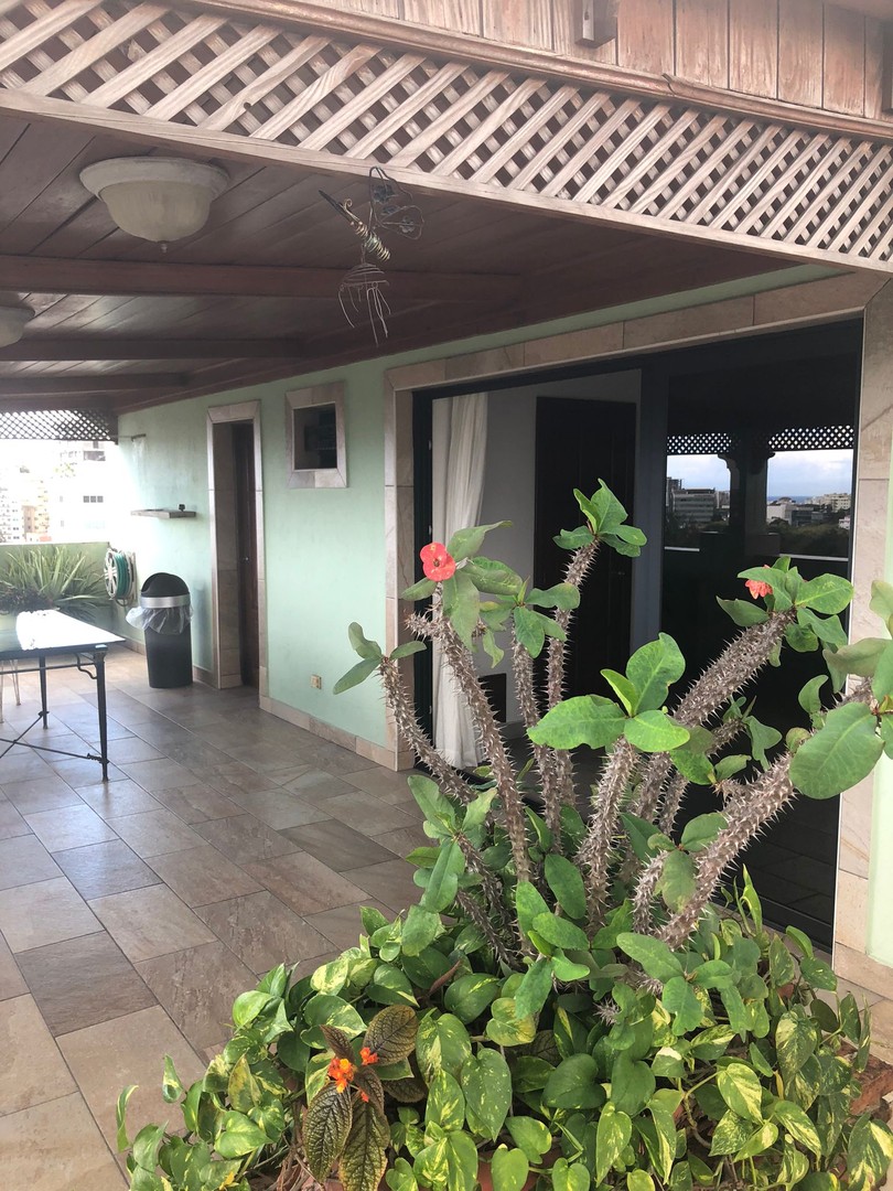 apartamentos - Apartamento Penhouse en Naco, Distrito Nacional  0