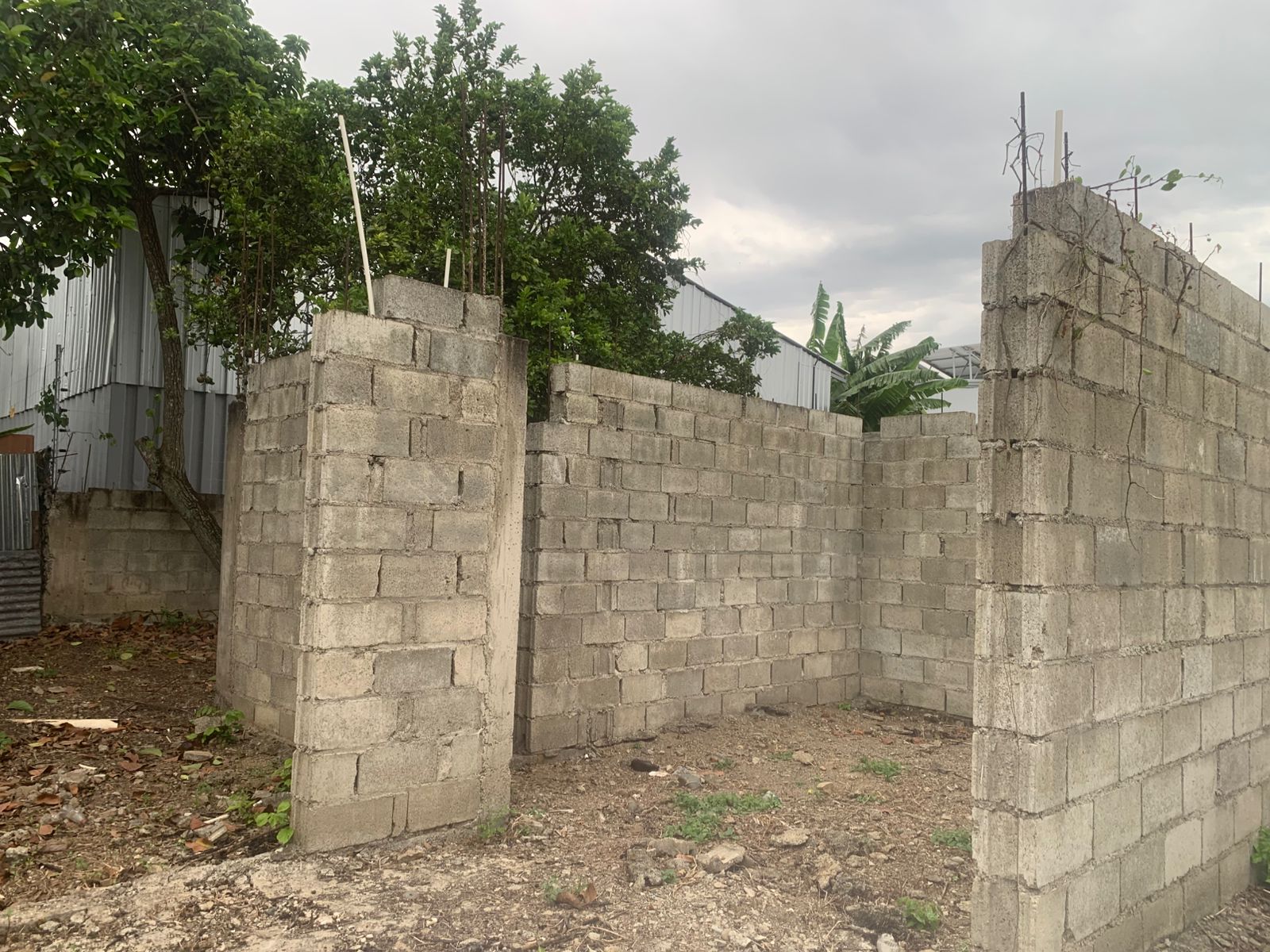 solares y terrenos - Se vende mejora en Tamboril, con titulo. 2