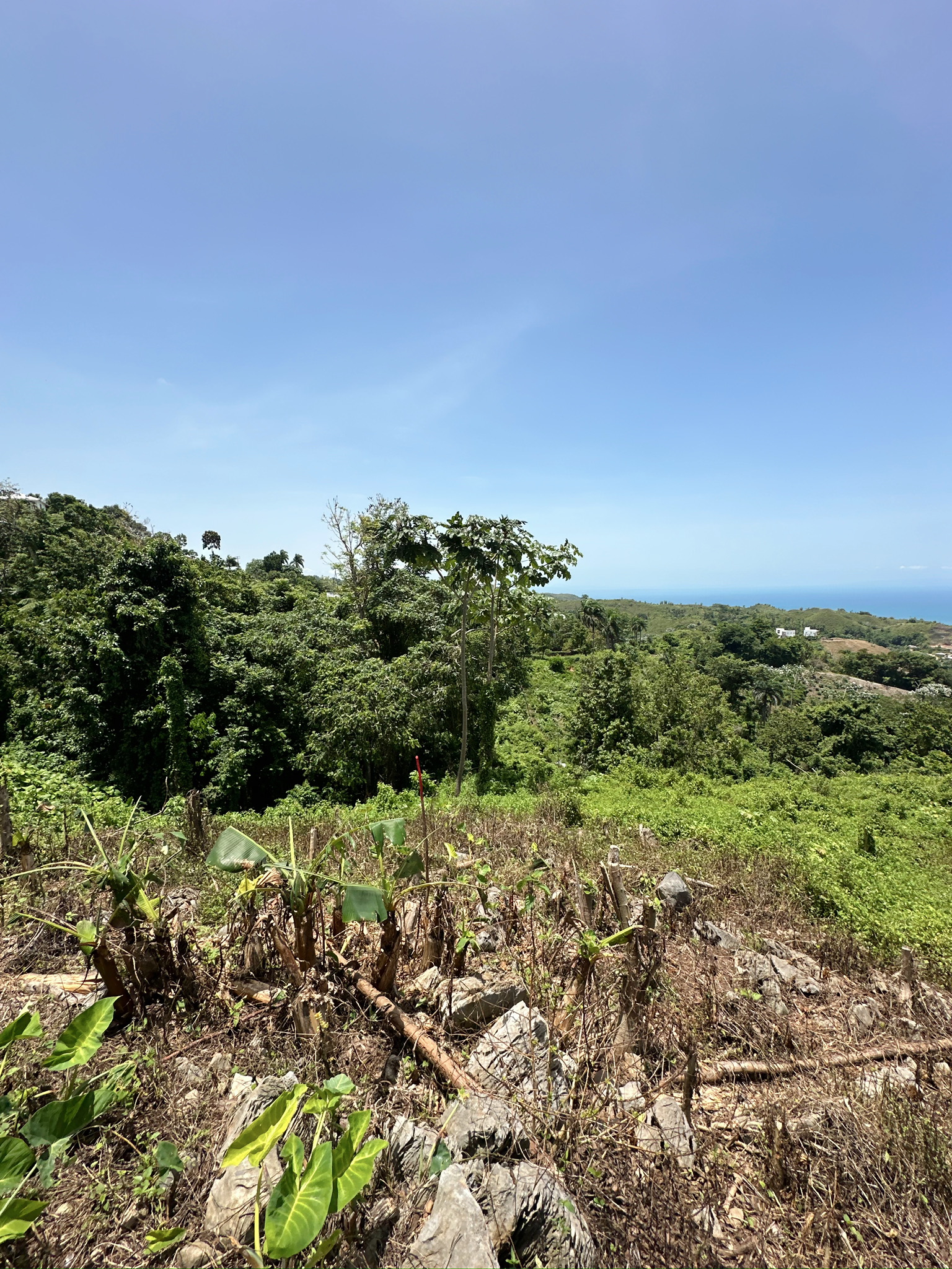 solares y terrenos - Terreno en las montañas con vista al mar, Samana 3