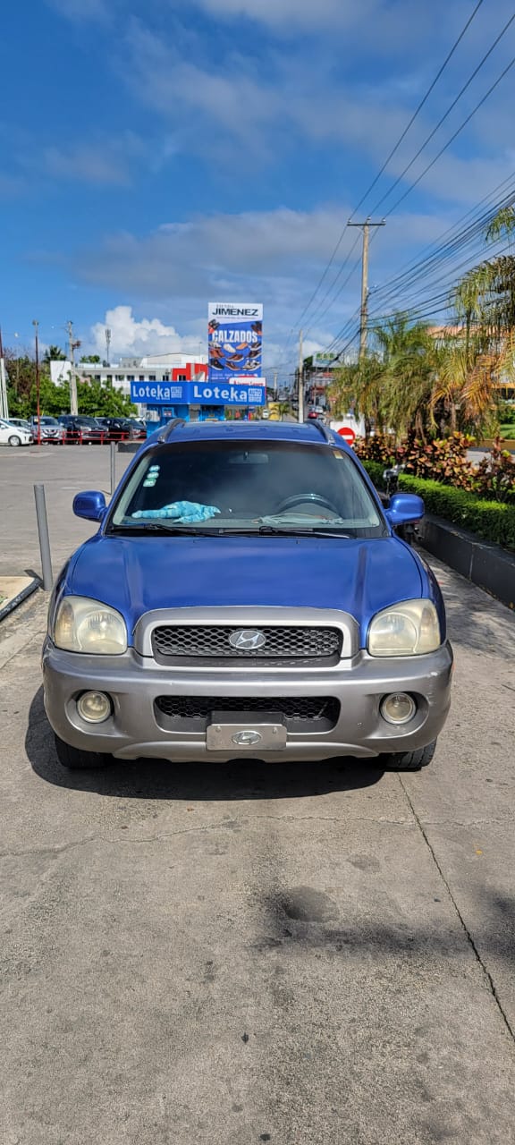 jeepetas y camionetas - Hyundai Santa Fe 2004 Gasolina/Gas 6