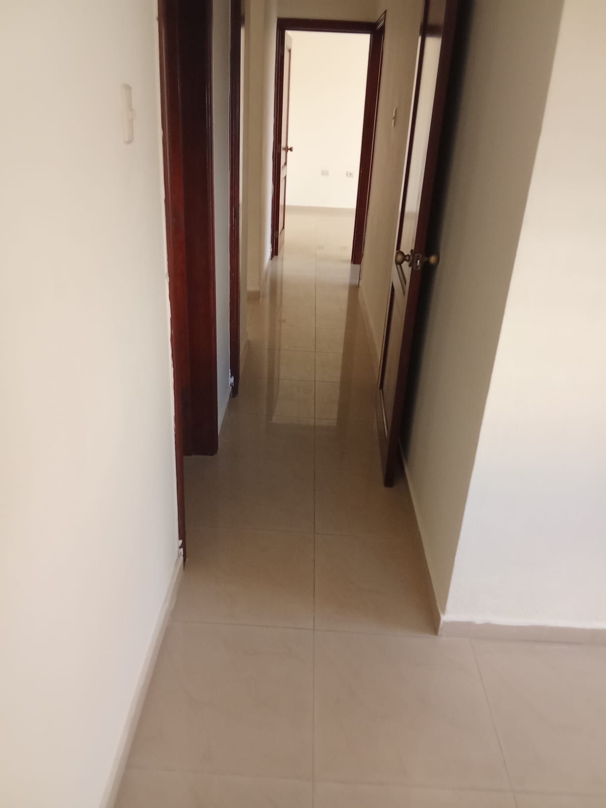 apartamentos - SE ALQUILA EN BELLA VISTA 2