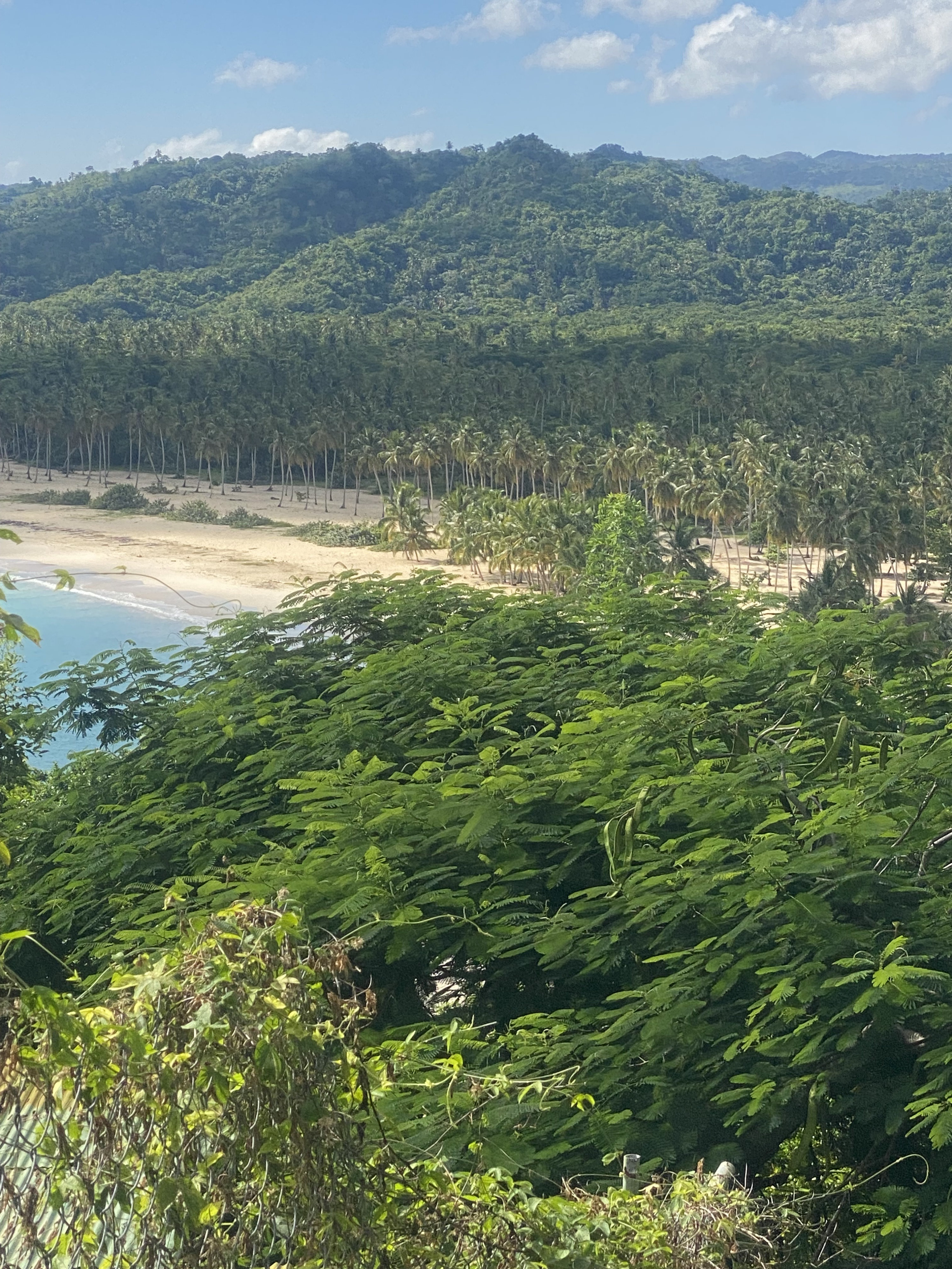solares y terrenos - se vende en playa Ricon  3