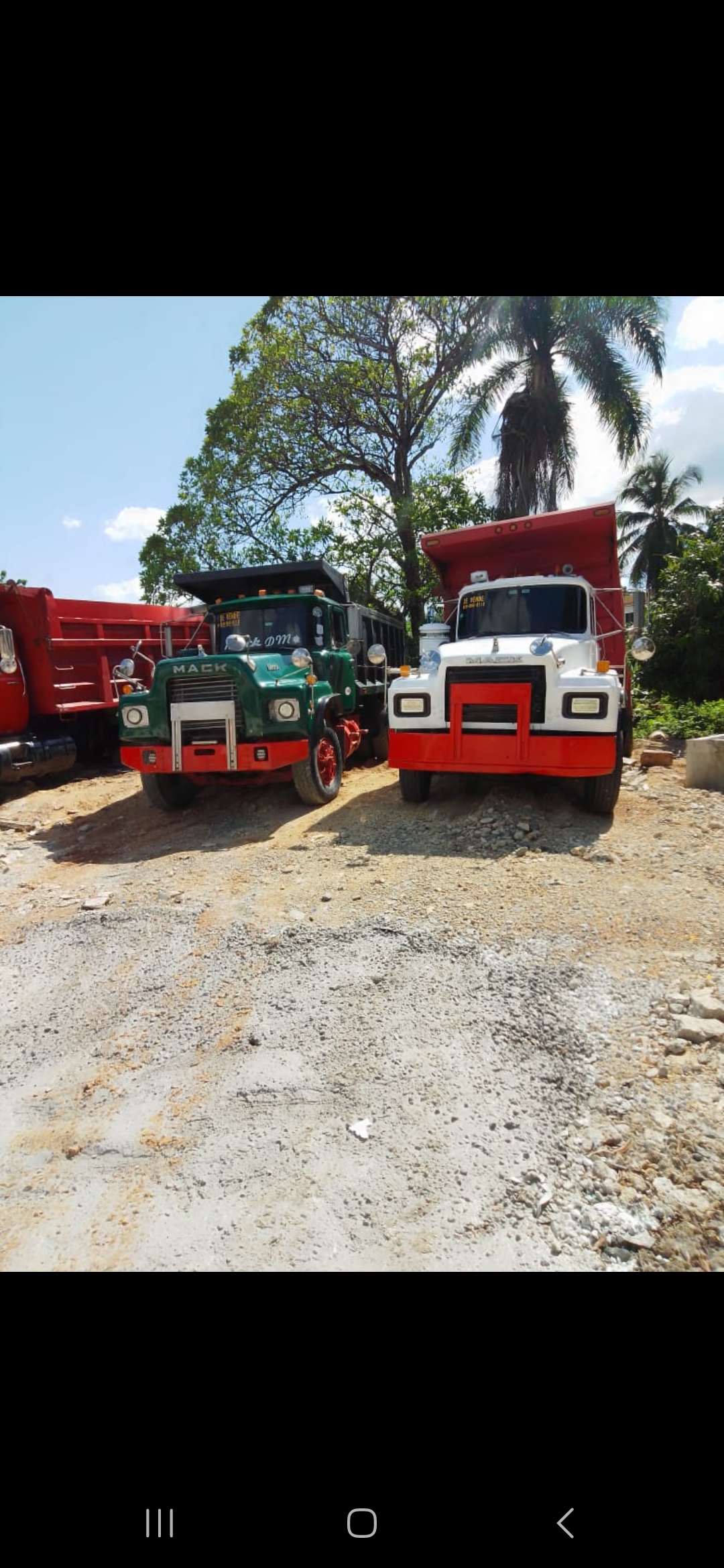 camiones y vehiculos pesados - Camion Mack  5