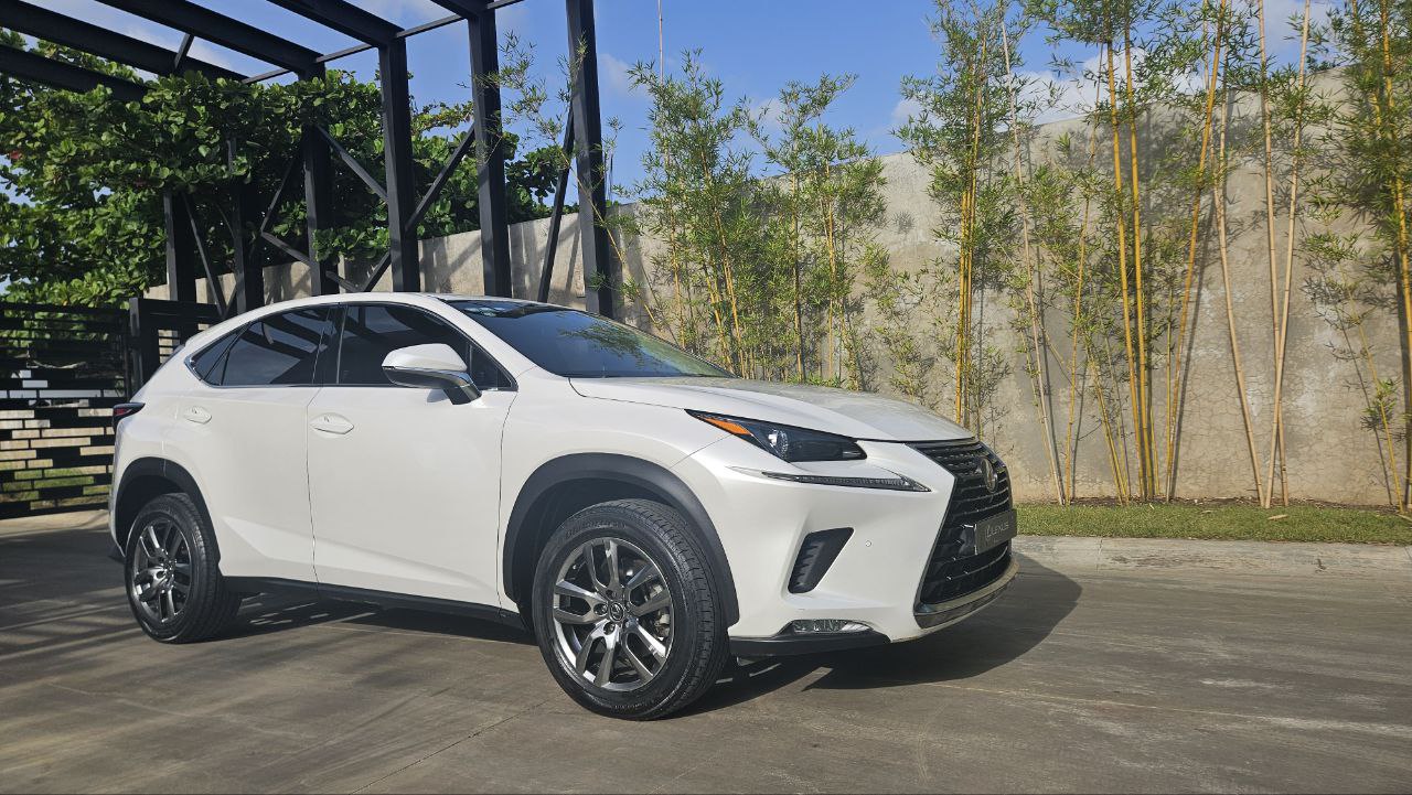 jeepetas y camionetas - Lexus NX300 2019 0