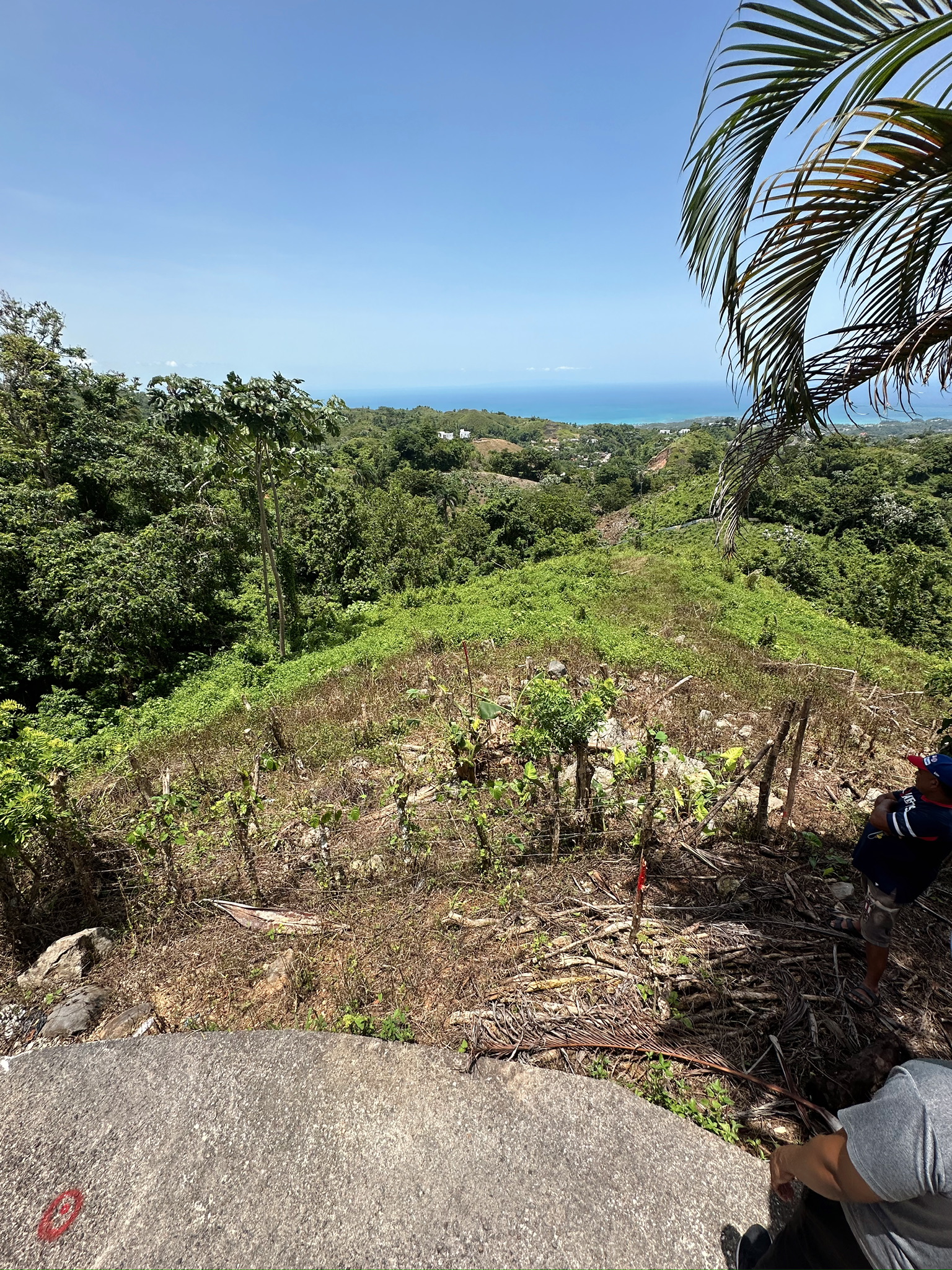 solares y terrenos - Terreno en las montañas con vista al mar, Samana 4