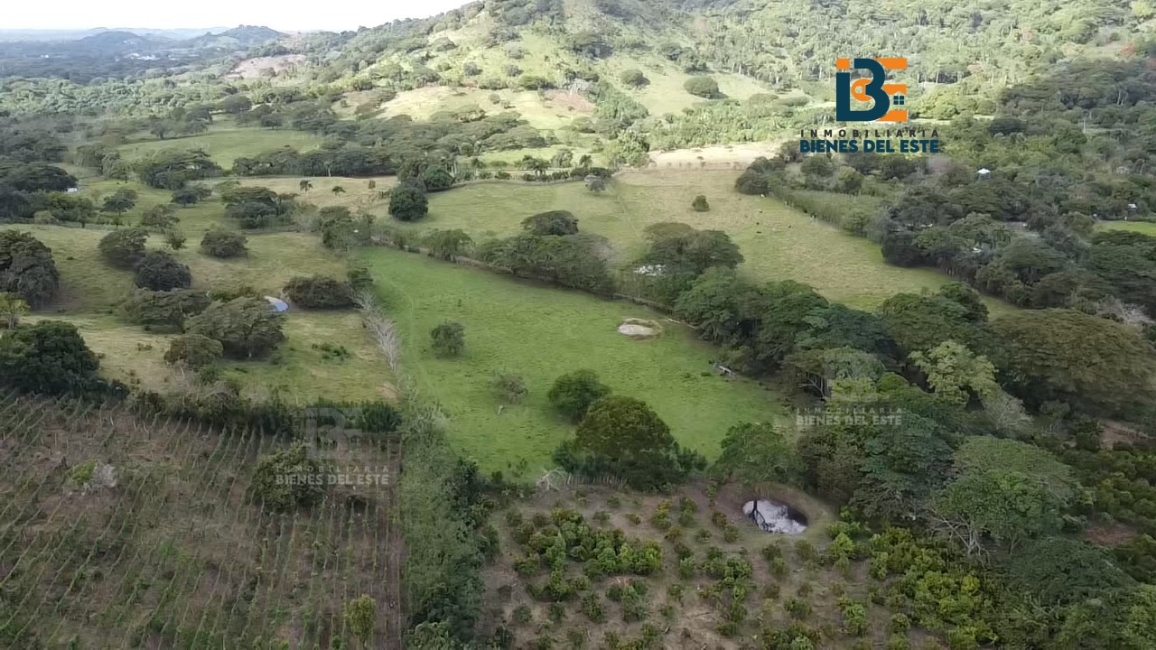 solares y terrenos - 🔴VENDO de Oportunidad 32 Tareas de Tierra. 1