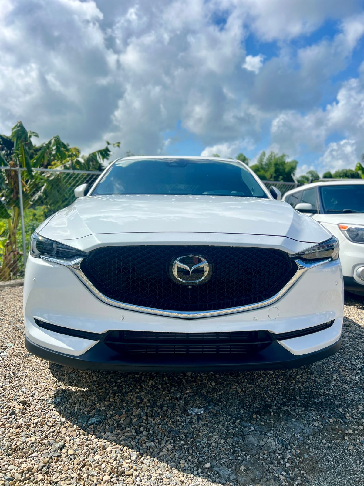 jeepetas y camionetas - Mazda CX-5 Grand Touring 2019 (Diesel) 7
