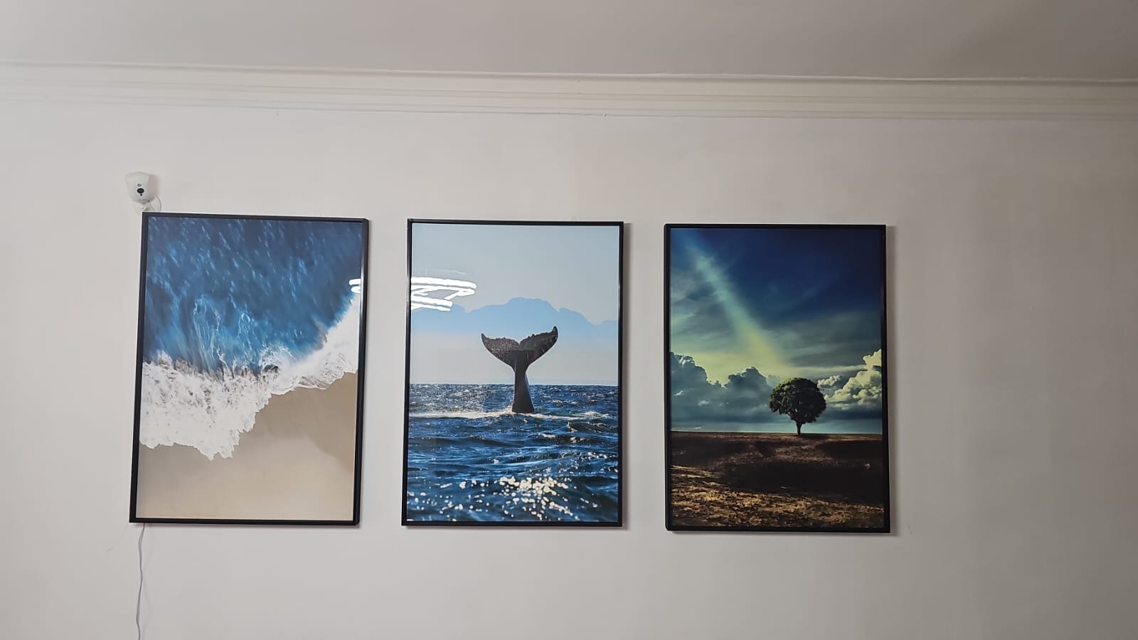 decoración y accesorios - Cuadros  1