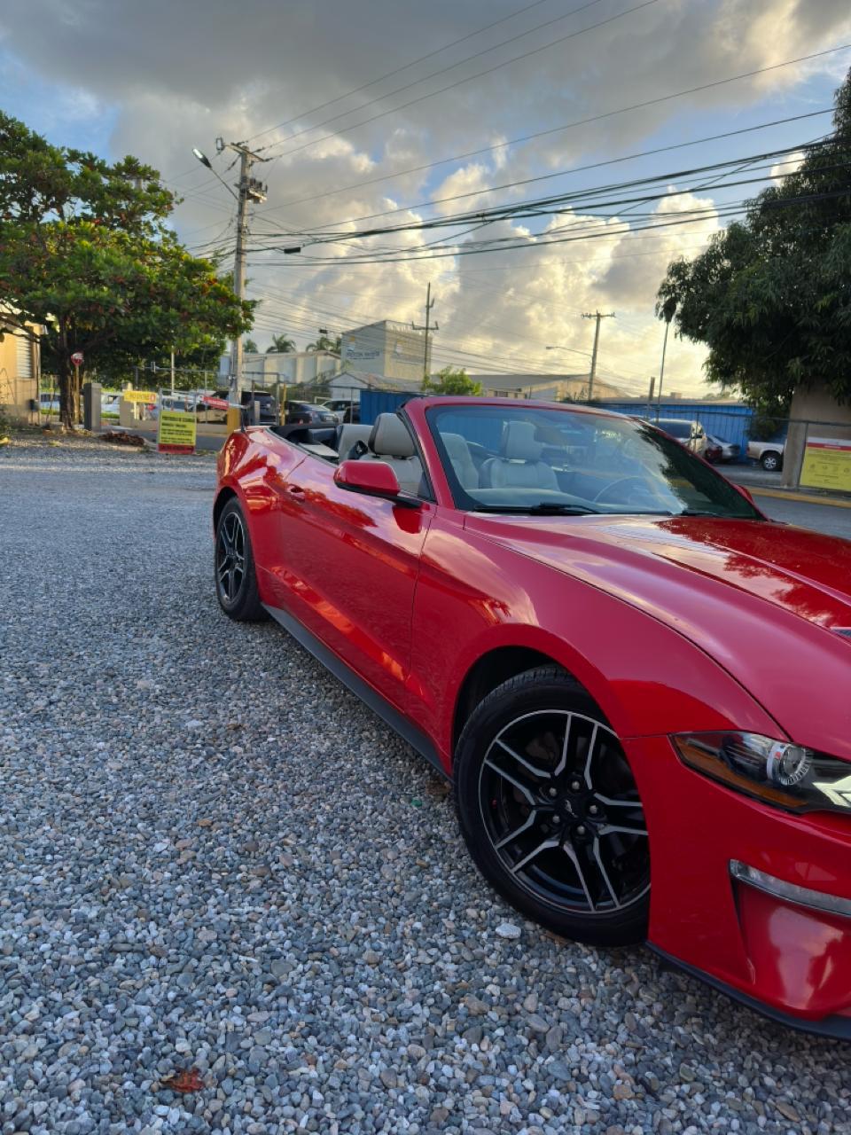 carros - Ford Mustang 2019 Convertible 1