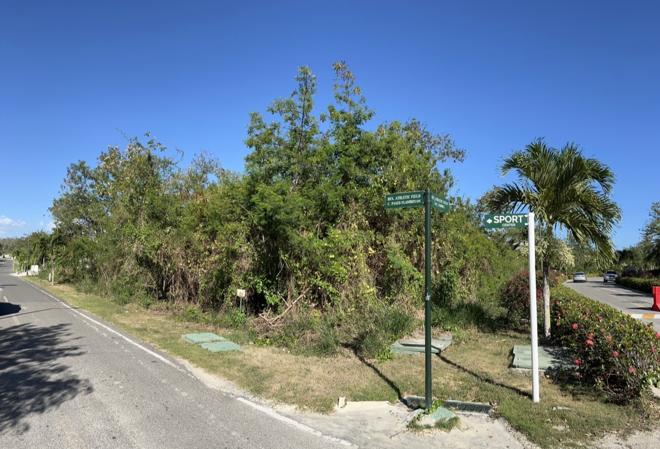 solares y terrenos - Solara en Venta en Playa Nueva Romana. 0