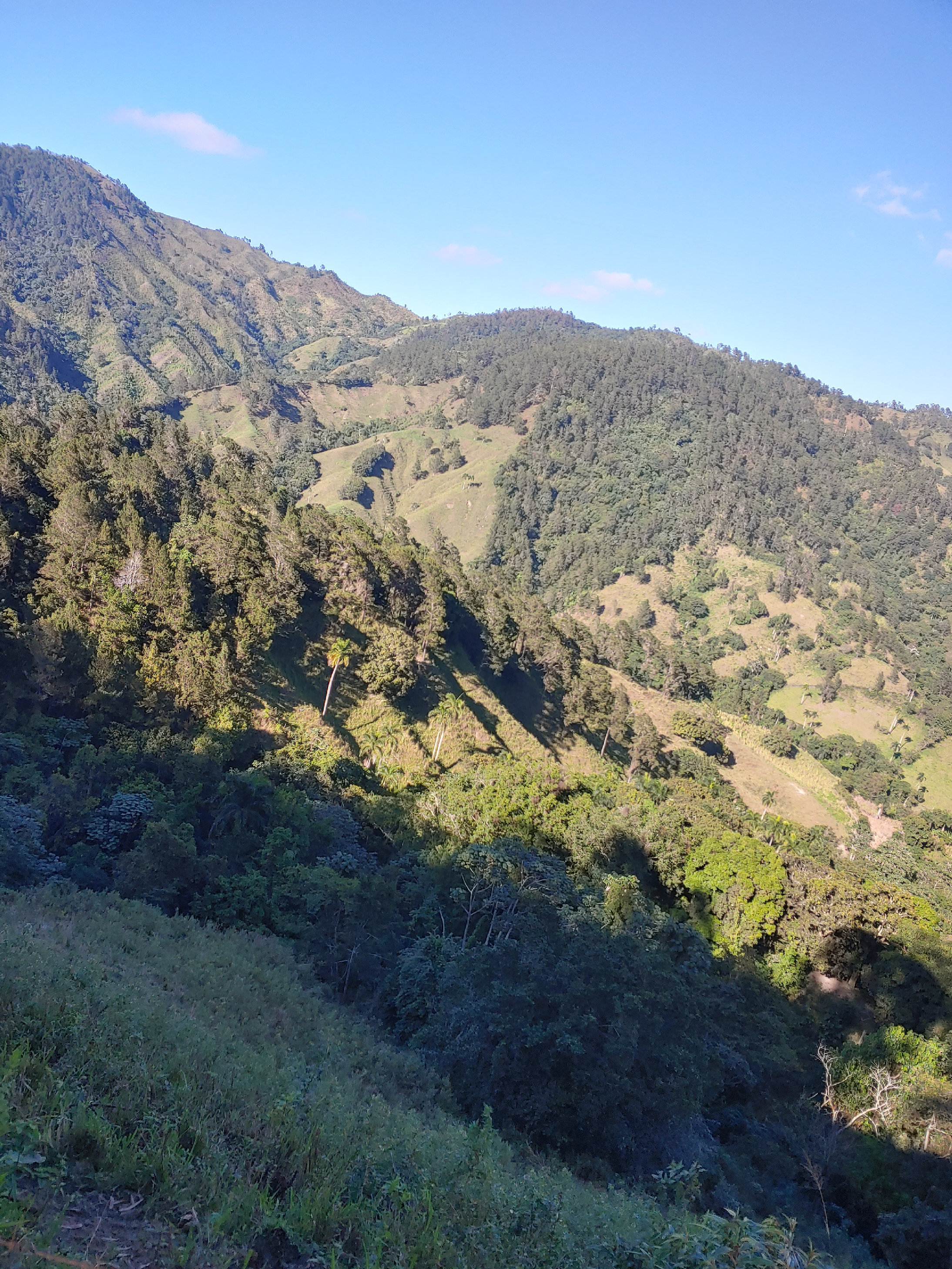 solares y terrenos - EN VENTA TERRENO UBICADO EN MANABAO, JARABACOA, CERCA. AL RIO YAQUE DEL NORTE 0