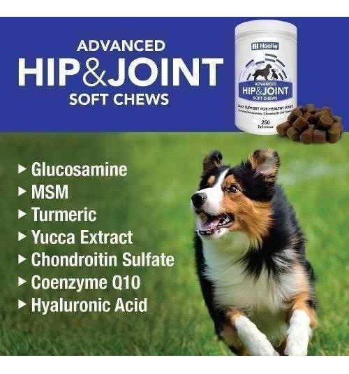 Salud y Equipamiento Médico - Glucosamina Condroitina Con Tumeric Para Perros - 250 Dosis 1